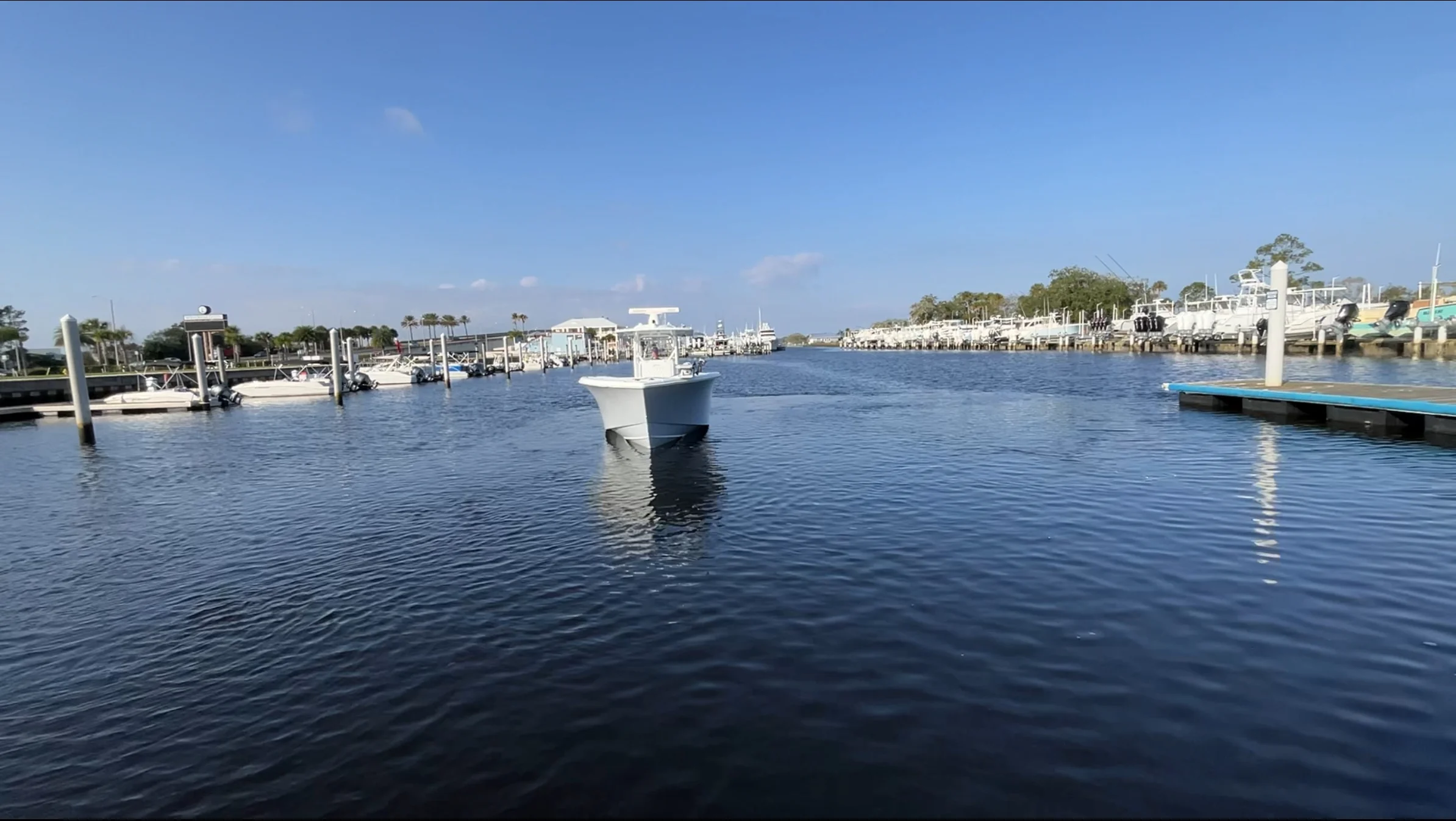 2020 Yellowfin 36 OFFSHORE Image Thumbnail #3