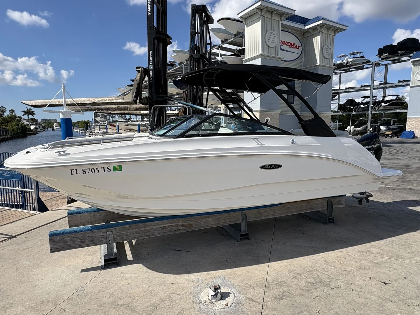 2024 Sea Ray 250SDX OB Image Thumbnail #9