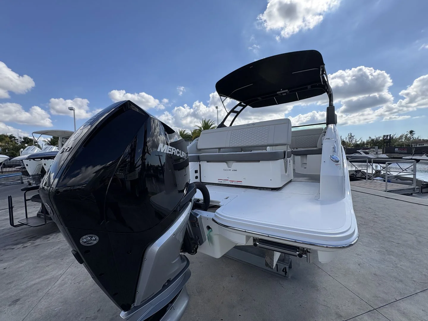 2024 Sea Ray 250SDX OB Image Thumbnail #13