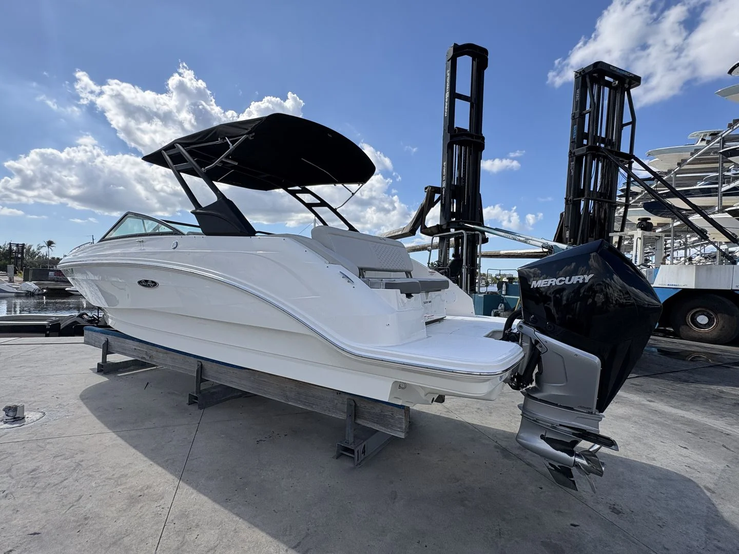 2024 Sea Ray 250SDX OB Image Thumbnail #11