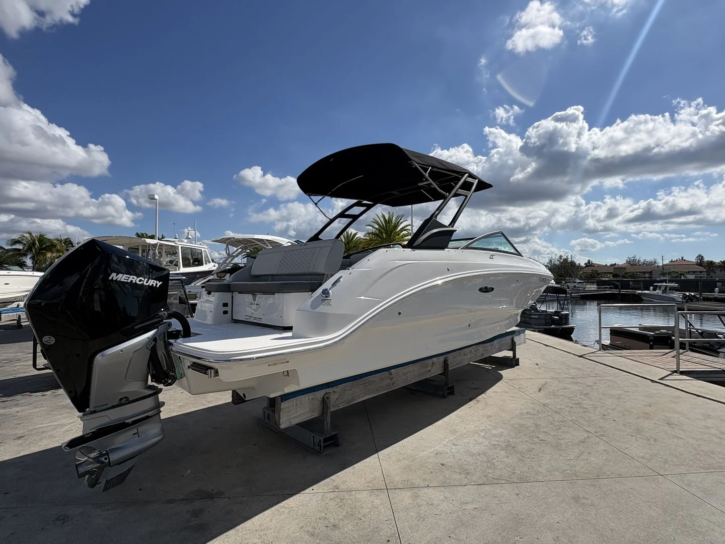 2024 Sea Ray 250SDX OB Image Thumbnail #1