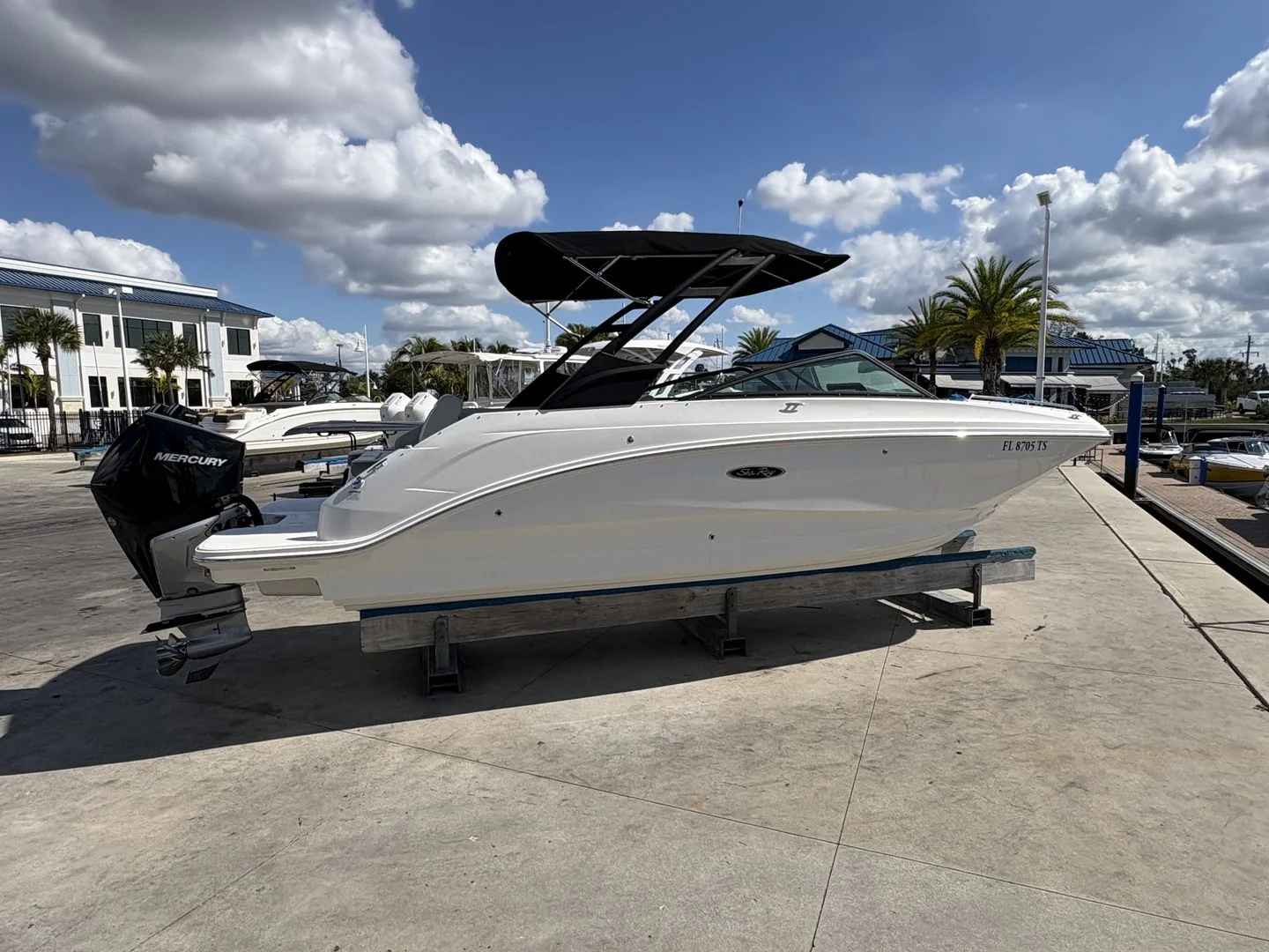 2024 Sea Ray 250SDX OB Image Thumbnail #2