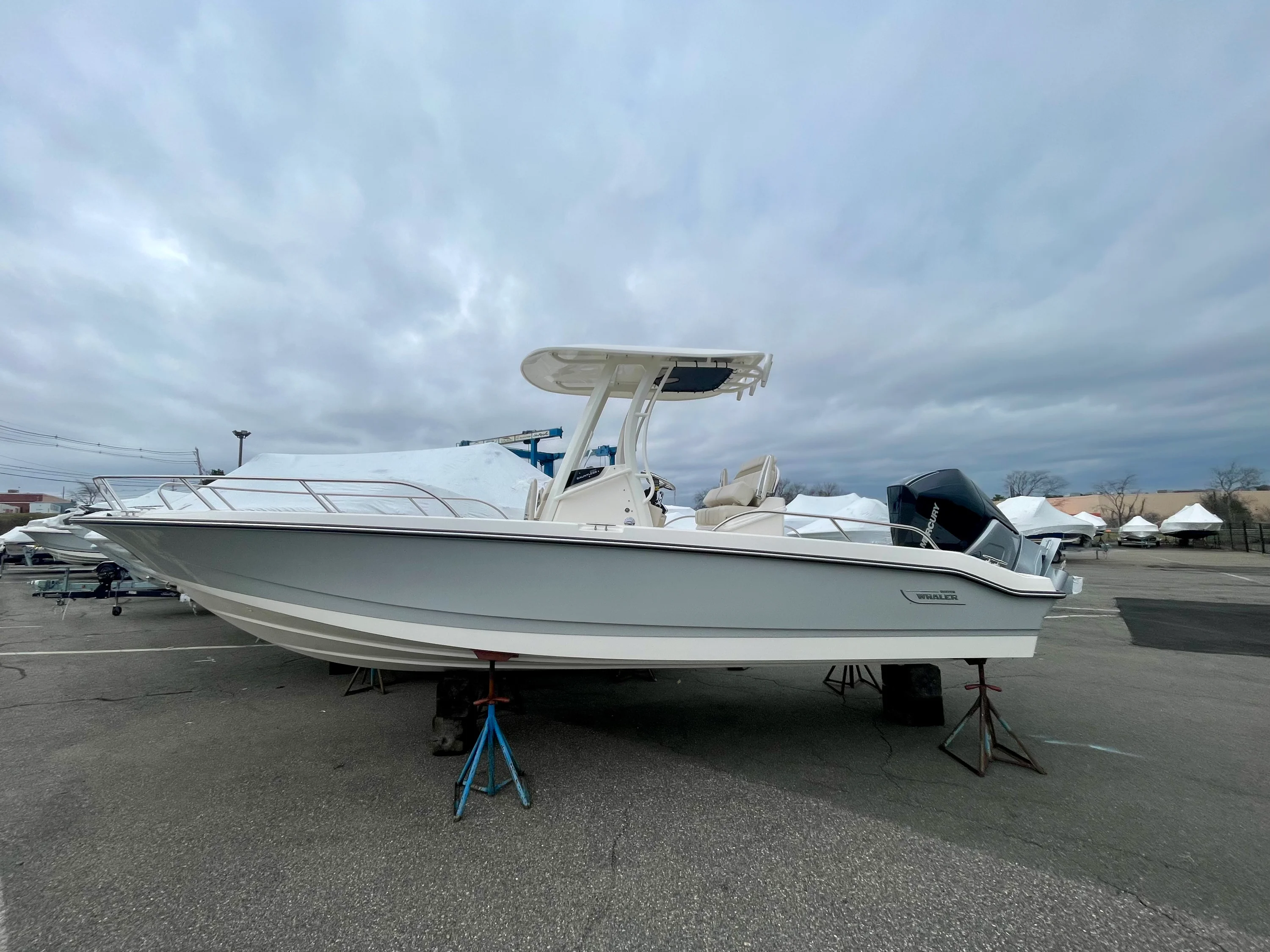 2026 Boston Whaler 250 Dauntless Image Thumbnail #0