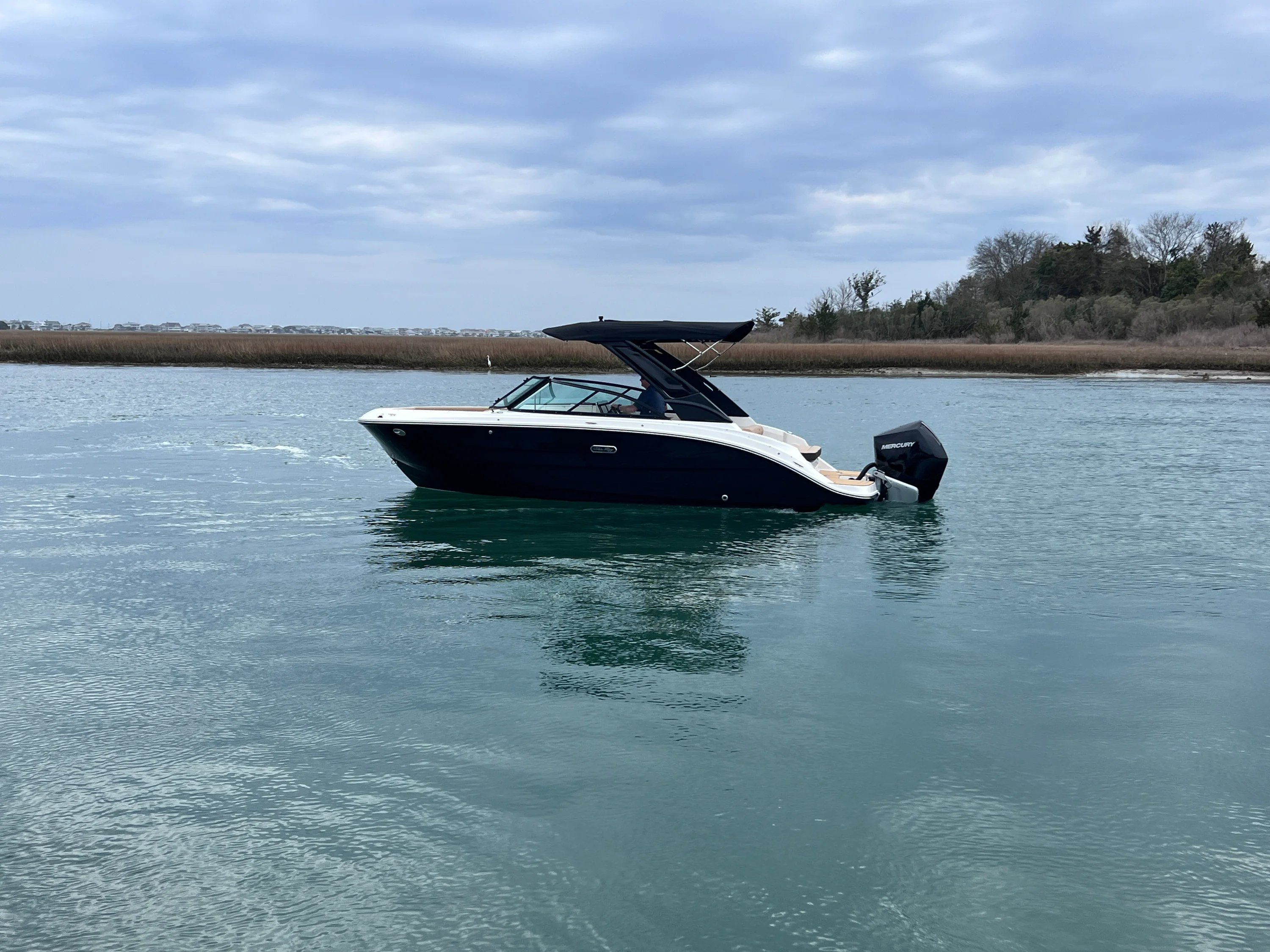 2026 Sea Ray SDX 230 Outboard Image Thumbnail #8