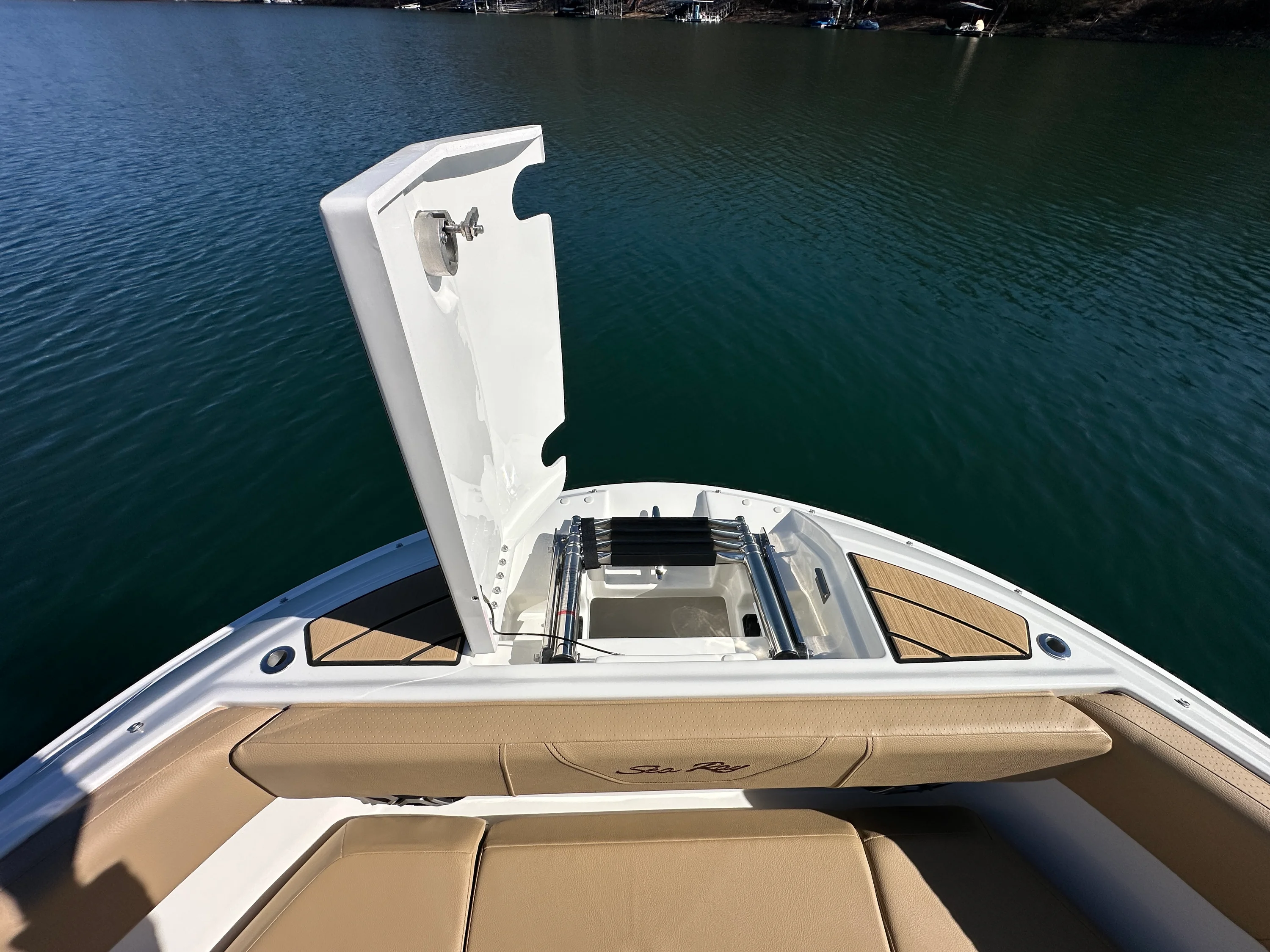 2026 Sea Ray SDX 230 Image Thumbnail #15