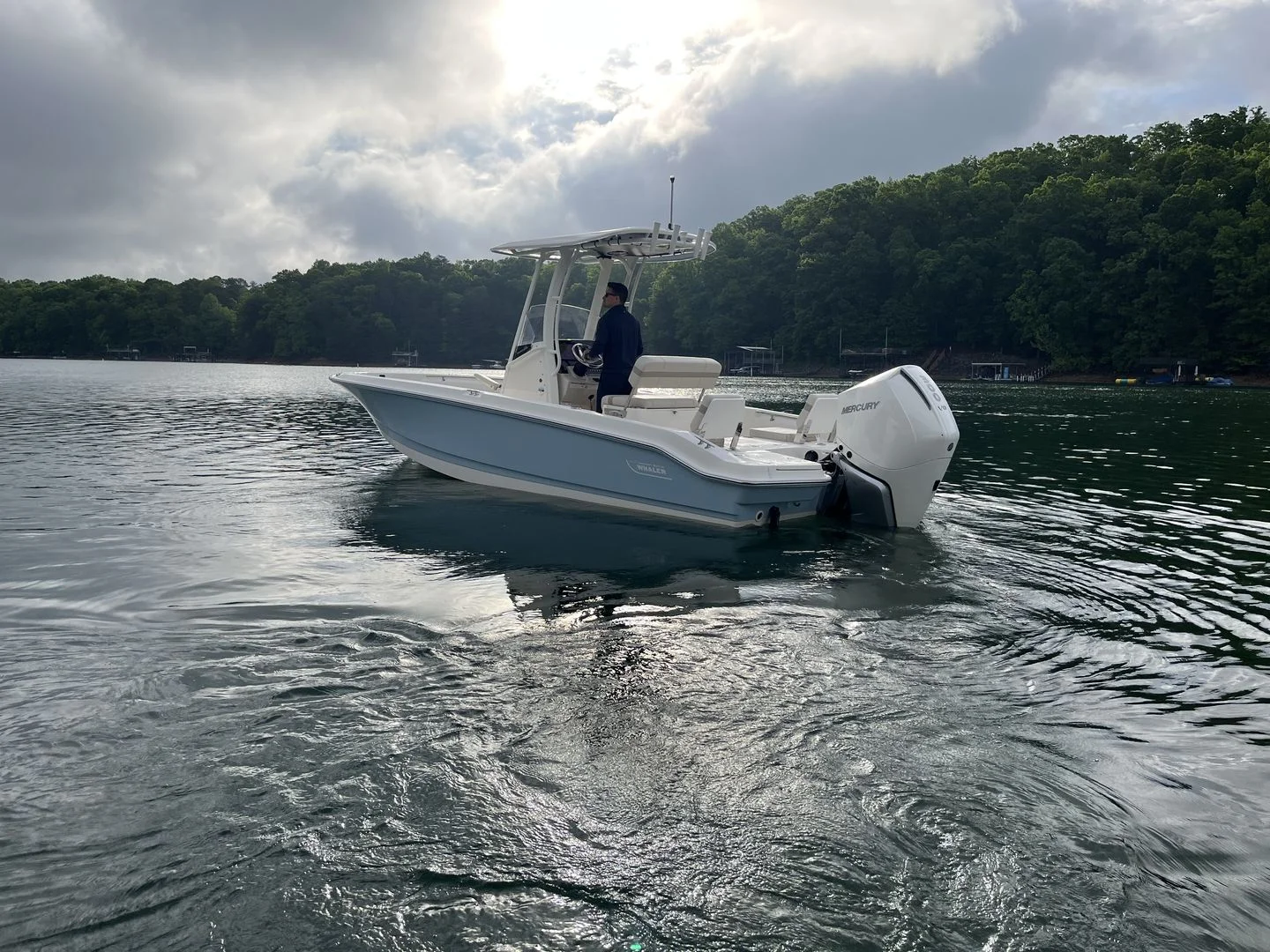 2026 Boston Whaler 250 Dauntless Image Thumbnail #4