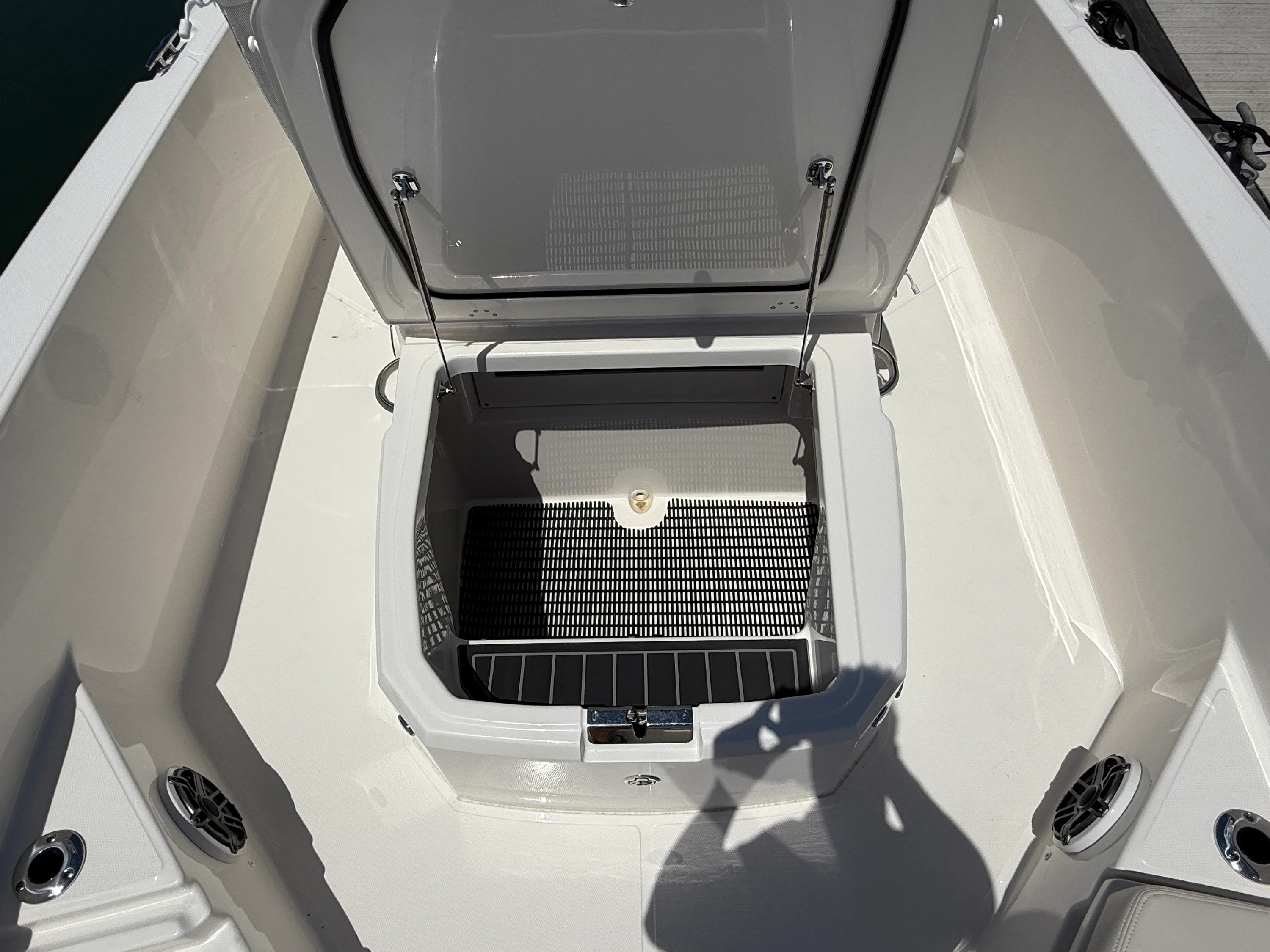 2026 Boston Whaler 250 Dauntless Image Thumbnail #23
