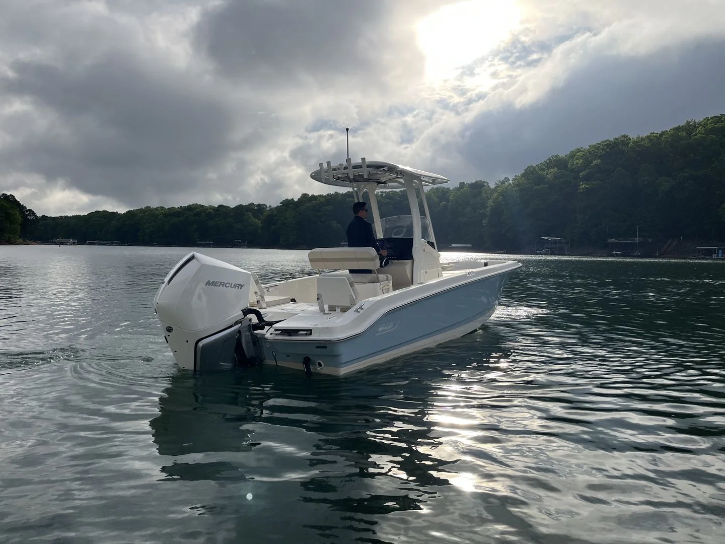 2026 Boston Whaler 250 Dauntless Image Thumbnail #1