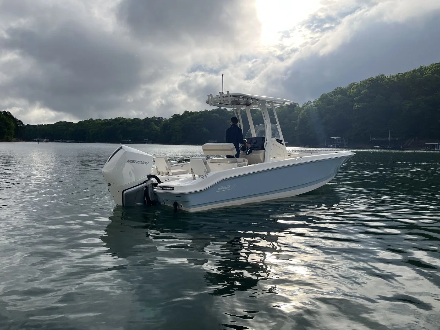 2026 Boston Whaler 250 Dauntless Image Thumbnail #0