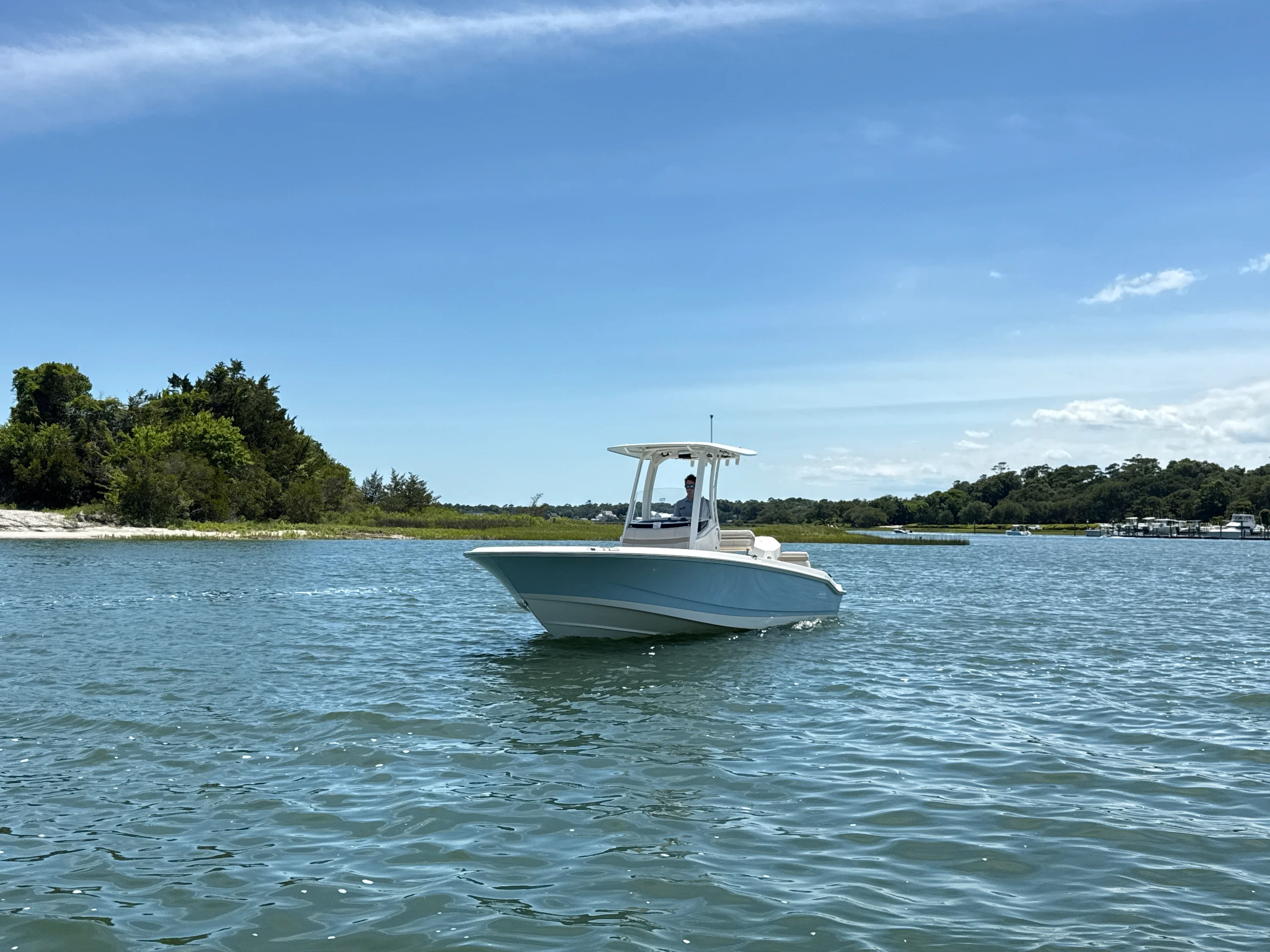 2026 Boston Whaler 250 Dauntless Image Thumbnail #1