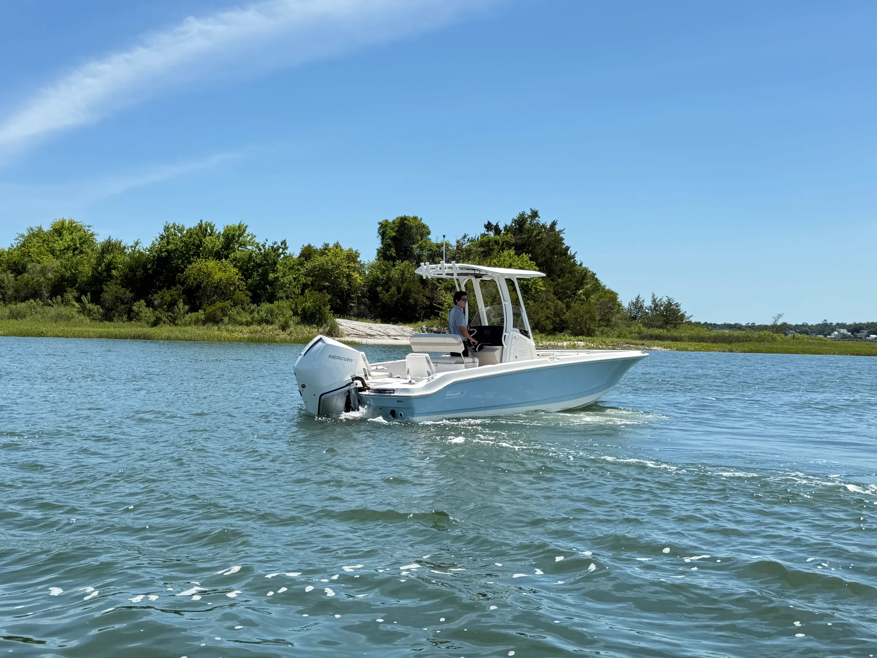 2026 Boston Whaler 250 Dauntless Image Thumbnail #5