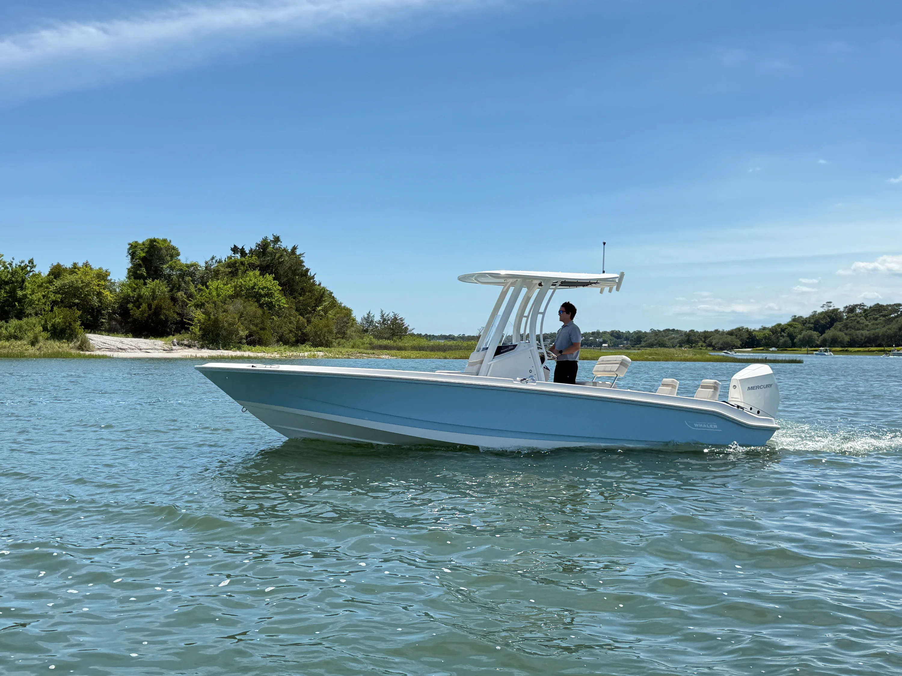2026 Boston Whaler 250 Dauntless Image Thumbnail #0
