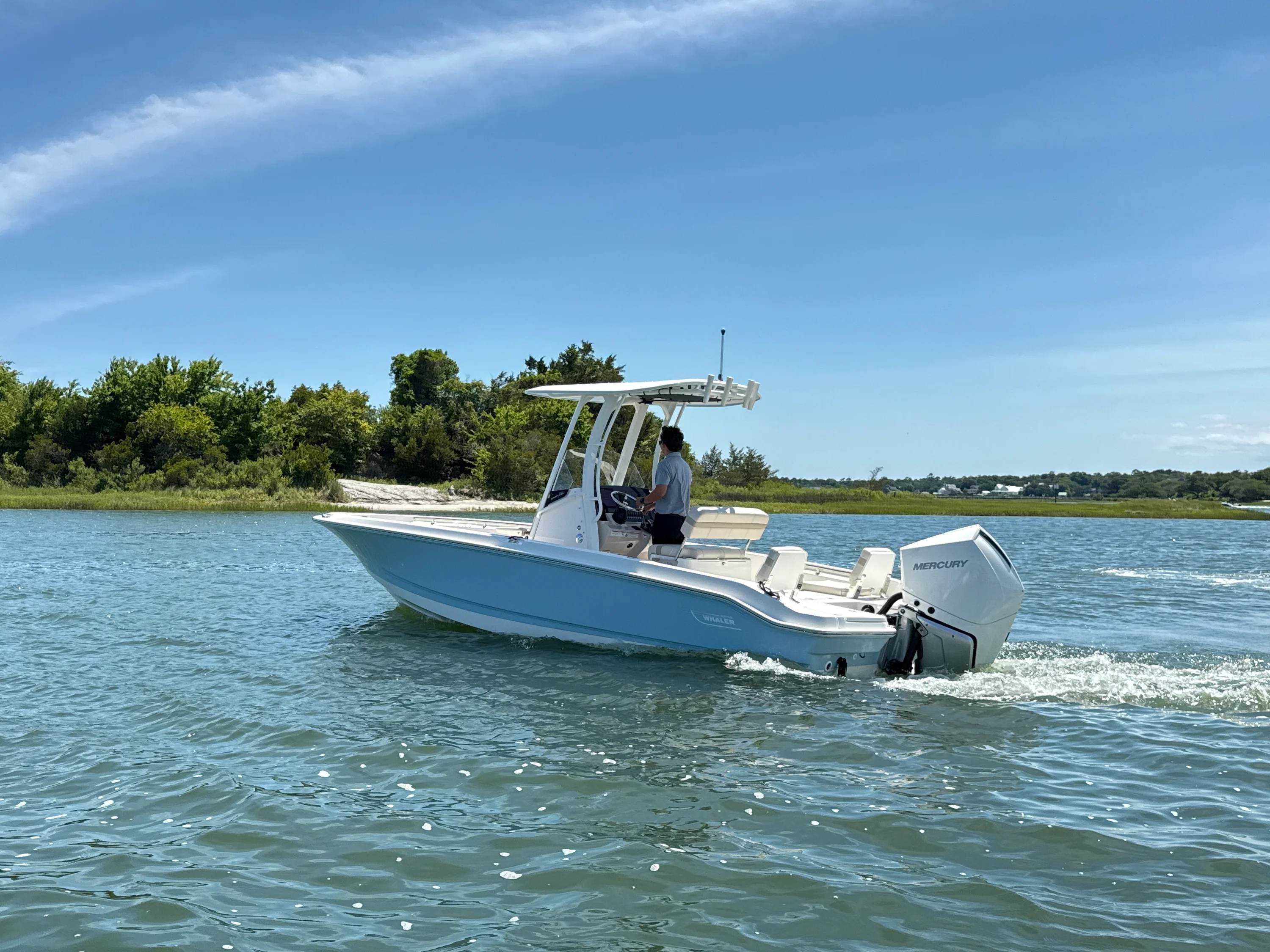 2026 Boston Whaler 250 Dauntless Image Thumbnail #2