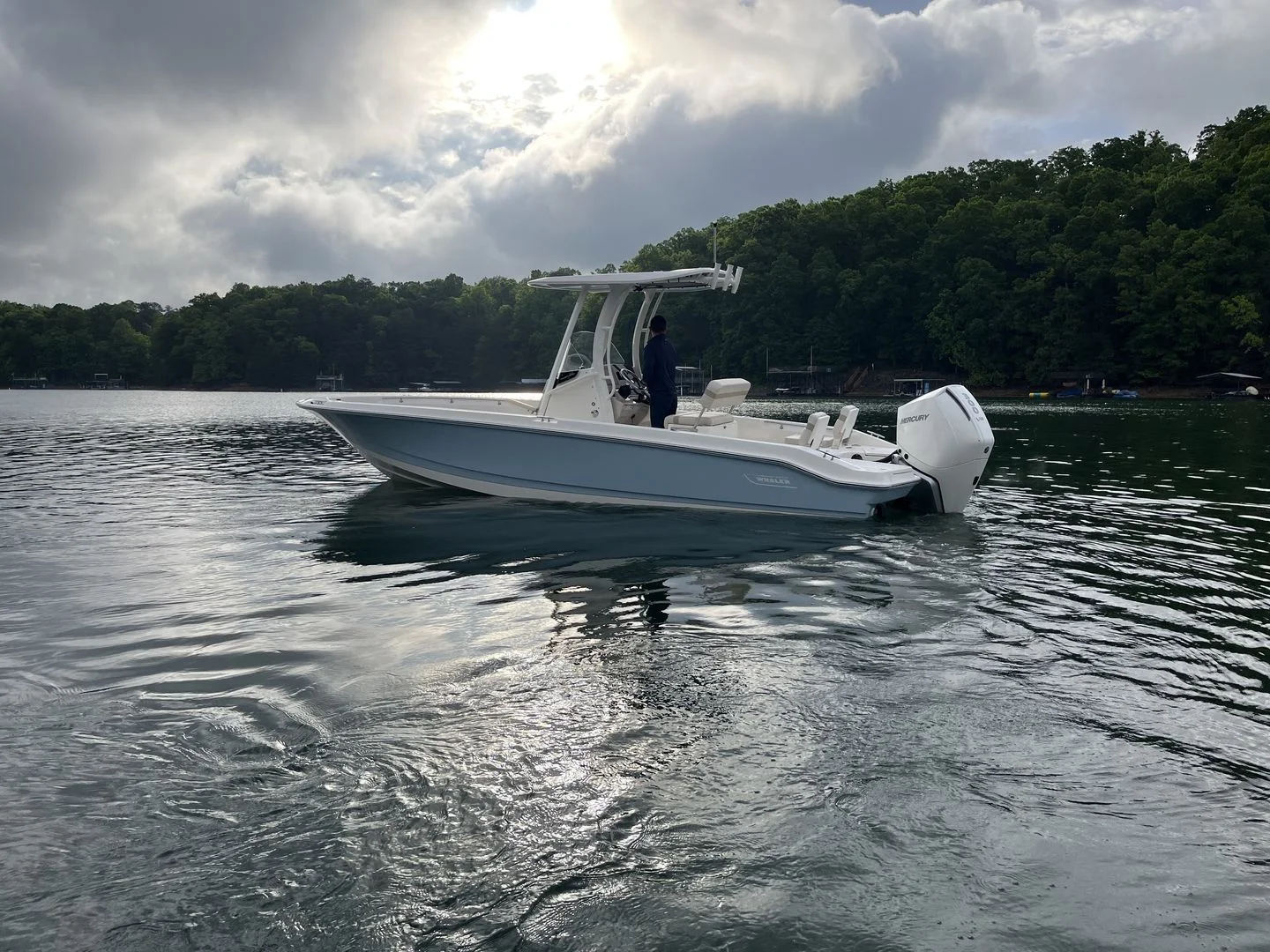 2026 Boston Whaler 250 Dauntless Image Thumbnail #5