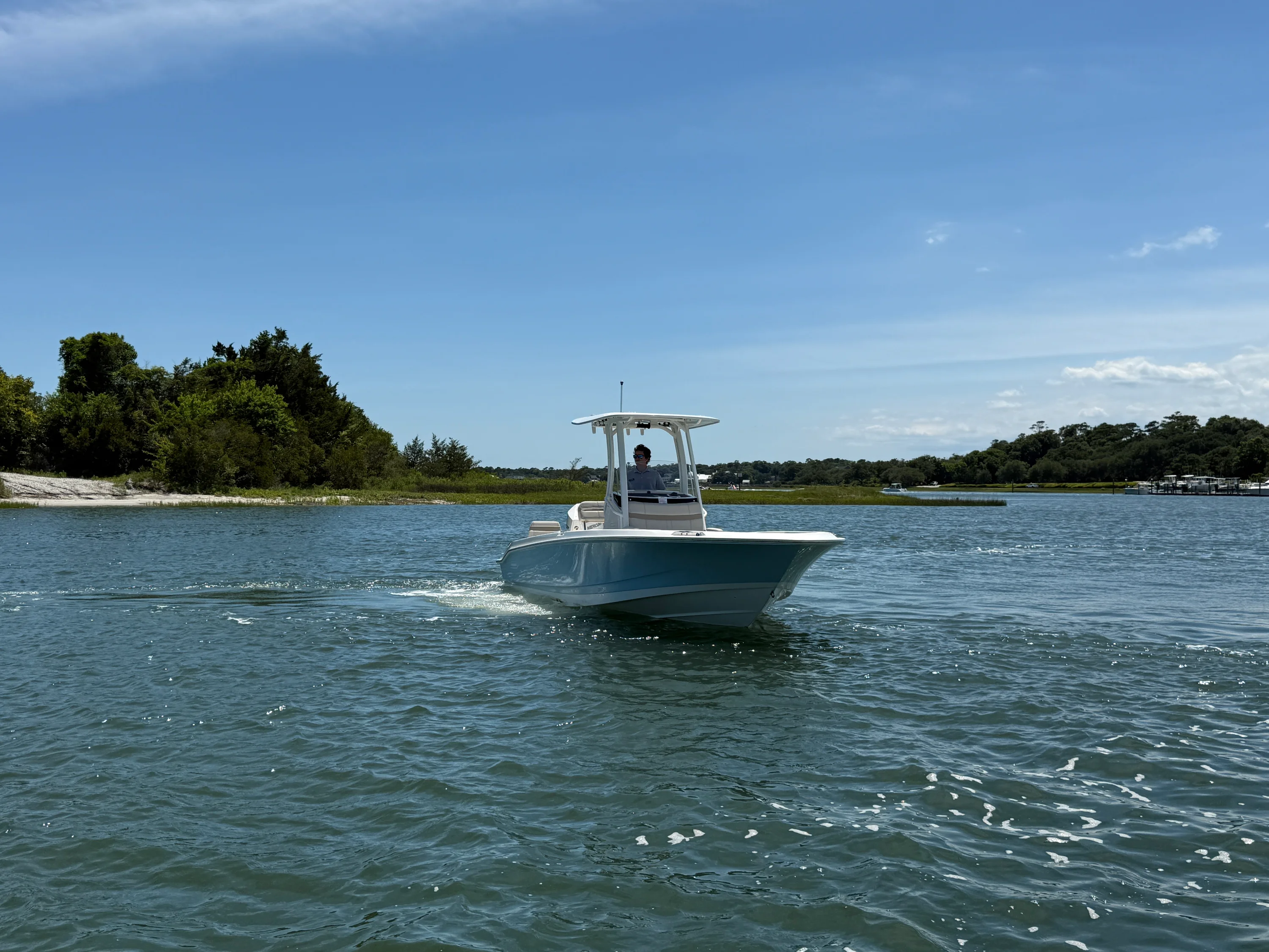 2026 Boston Whaler 250 Dauntless Image Thumbnail #8