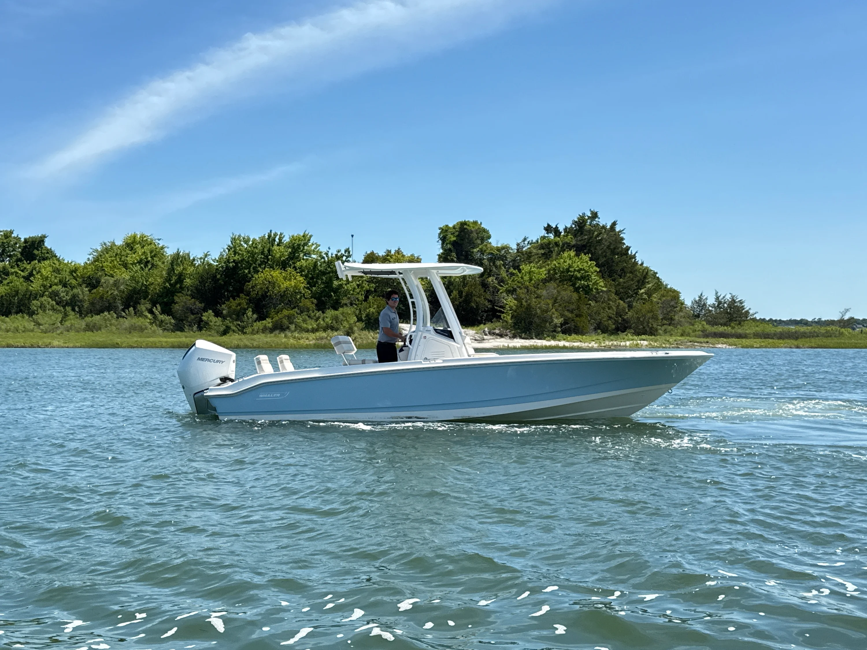 2026 Boston Whaler 250 Dauntless Image Thumbnail #6