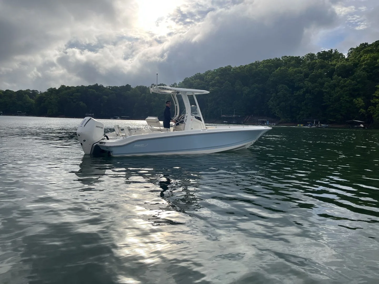 2026 Boston Whaler 250 Dauntless Image Thumbnail #15
