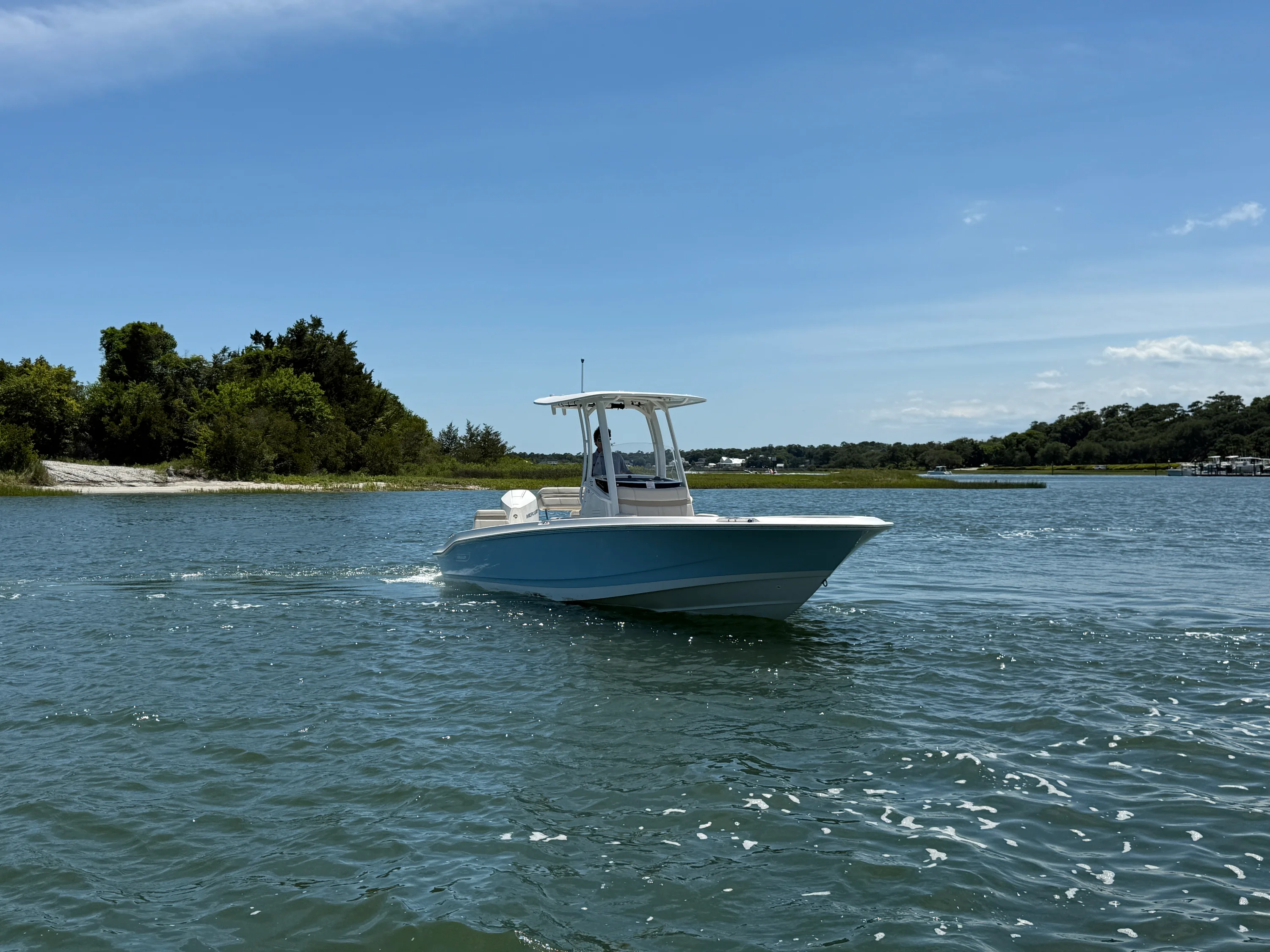 2026 Boston Whaler 250 Dauntless Image Thumbnail #7