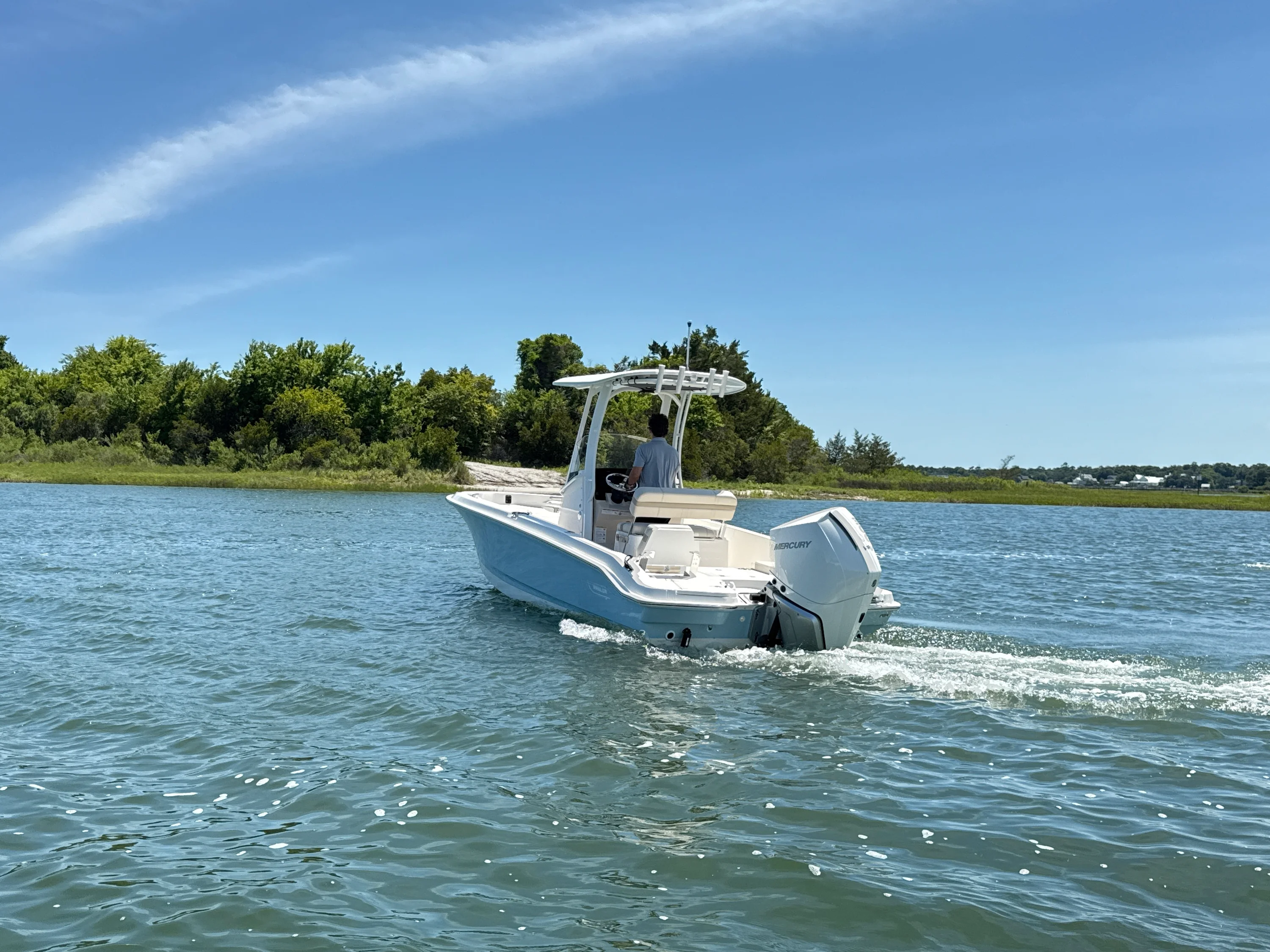 2026 Boston Whaler 250 Dauntless Image Thumbnail #3