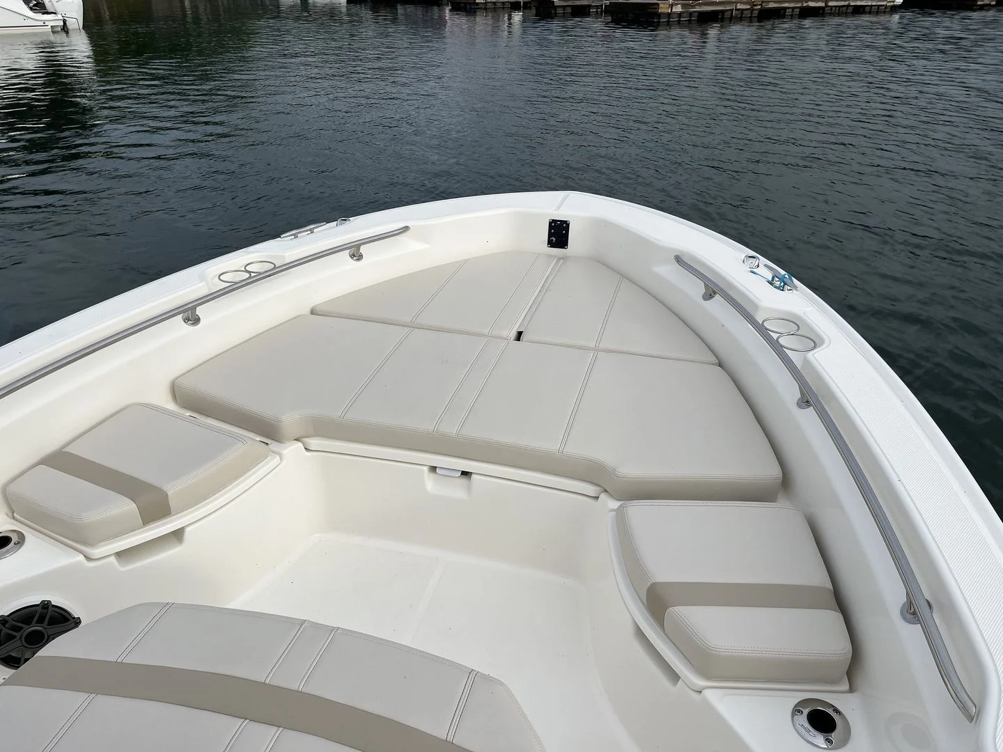 2026 Boston Whaler 250 Dauntless Image Thumbnail #9