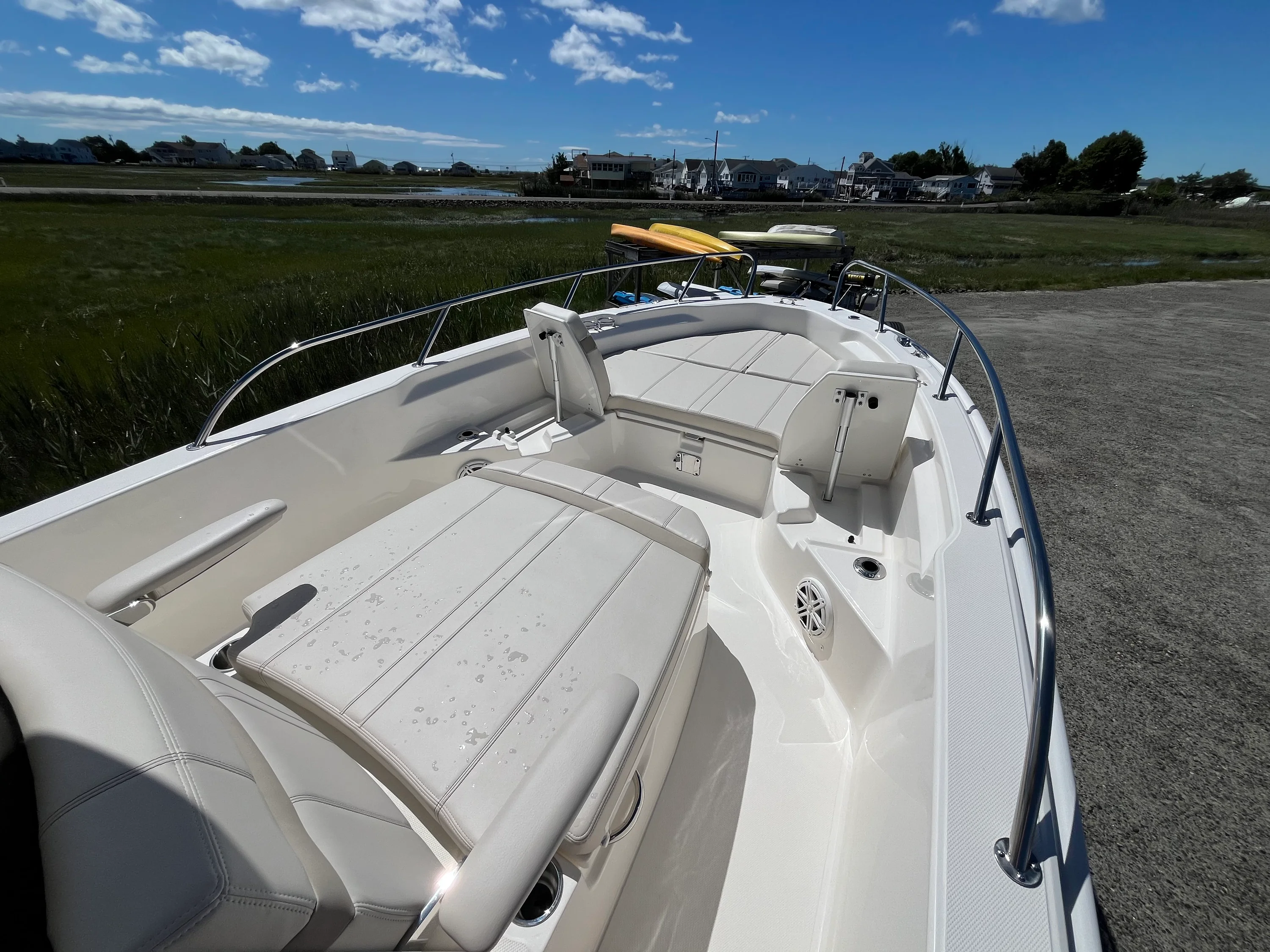 2026 Boston Whaler 250 Dauntless Image Thumbnail #13
