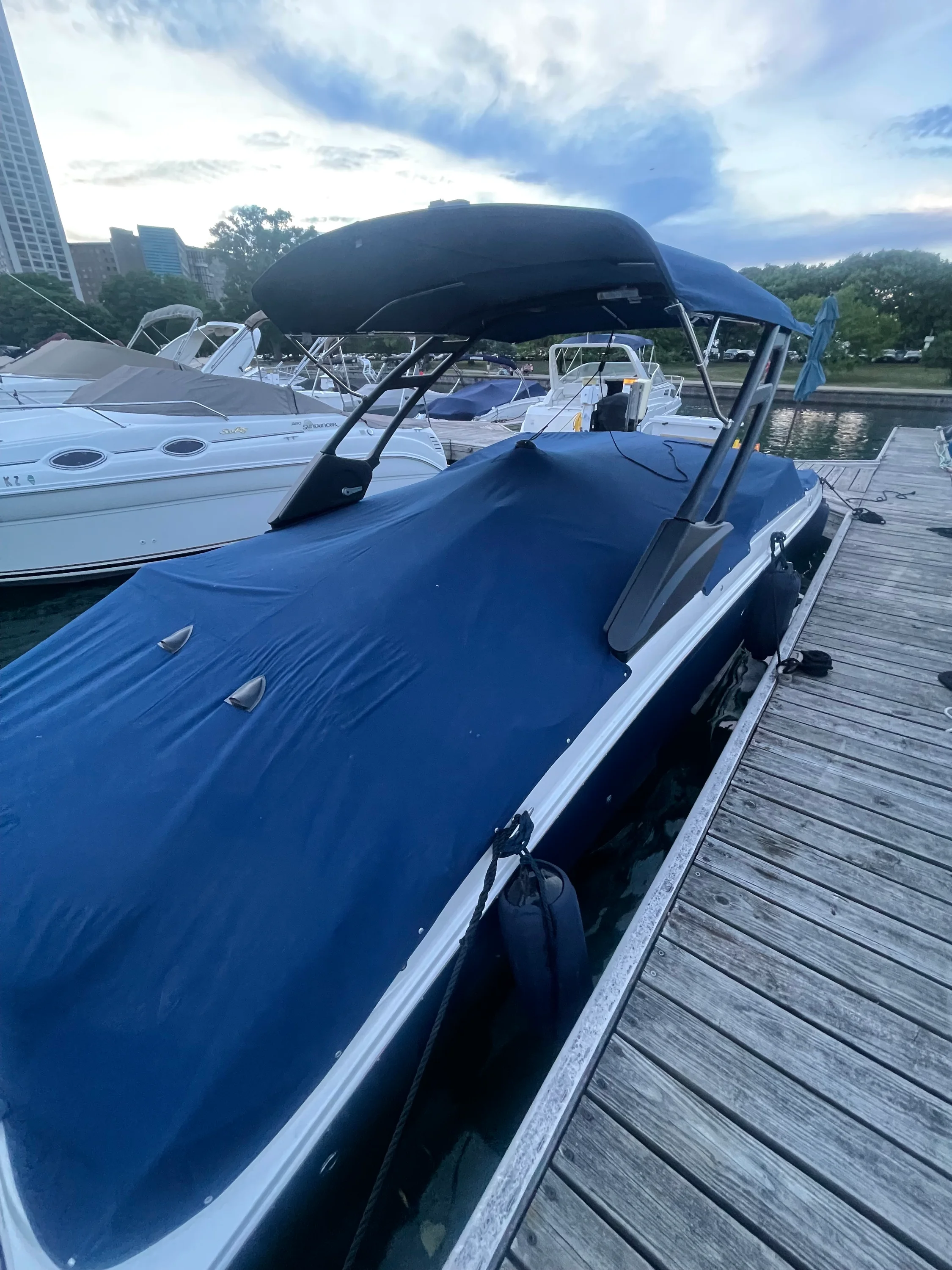 2021 Sea Ray 270 SDX Image Thumbnail #2