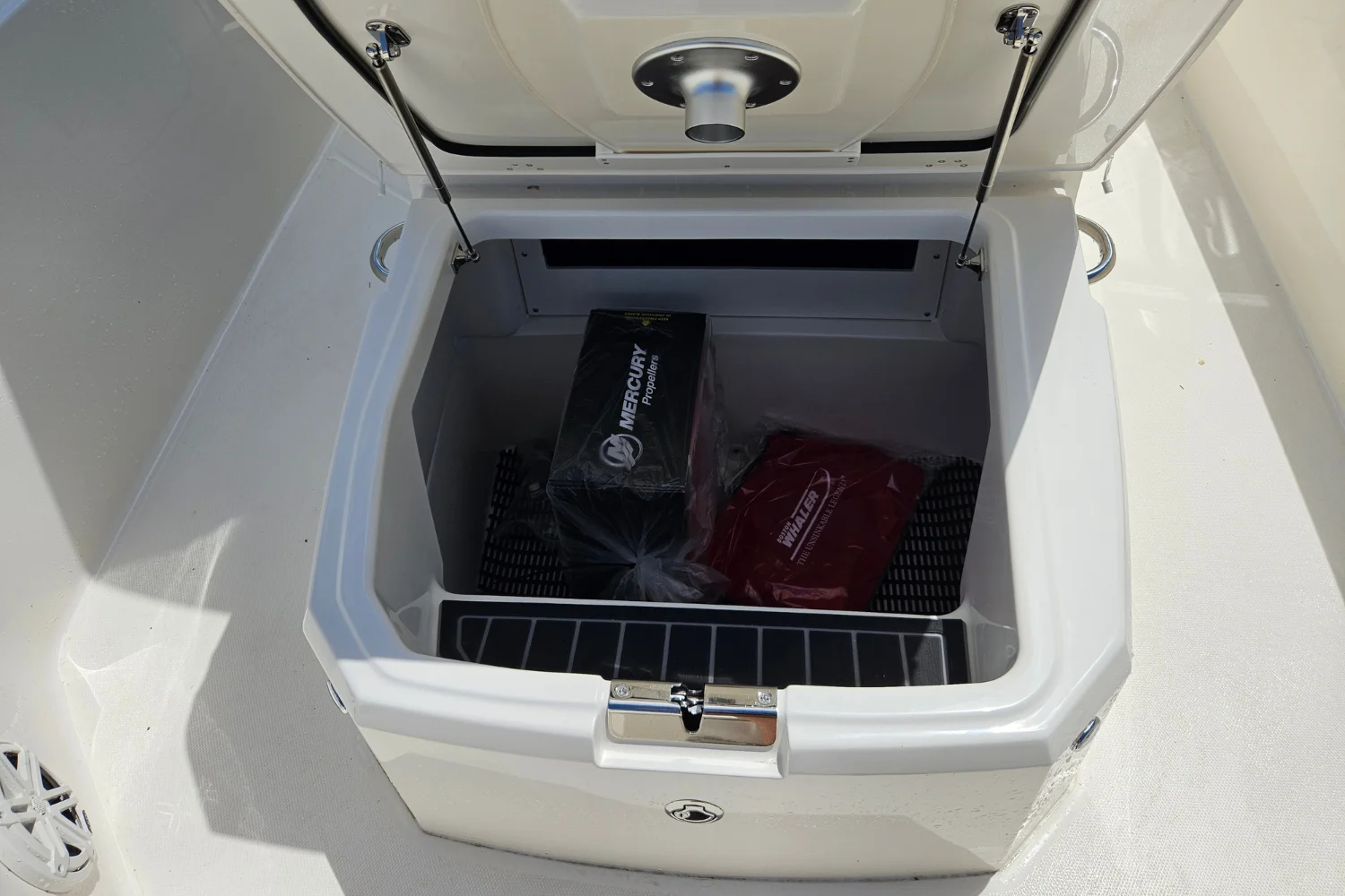2026 Boston Whaler 250 Dauntless Image Thumbnail #25