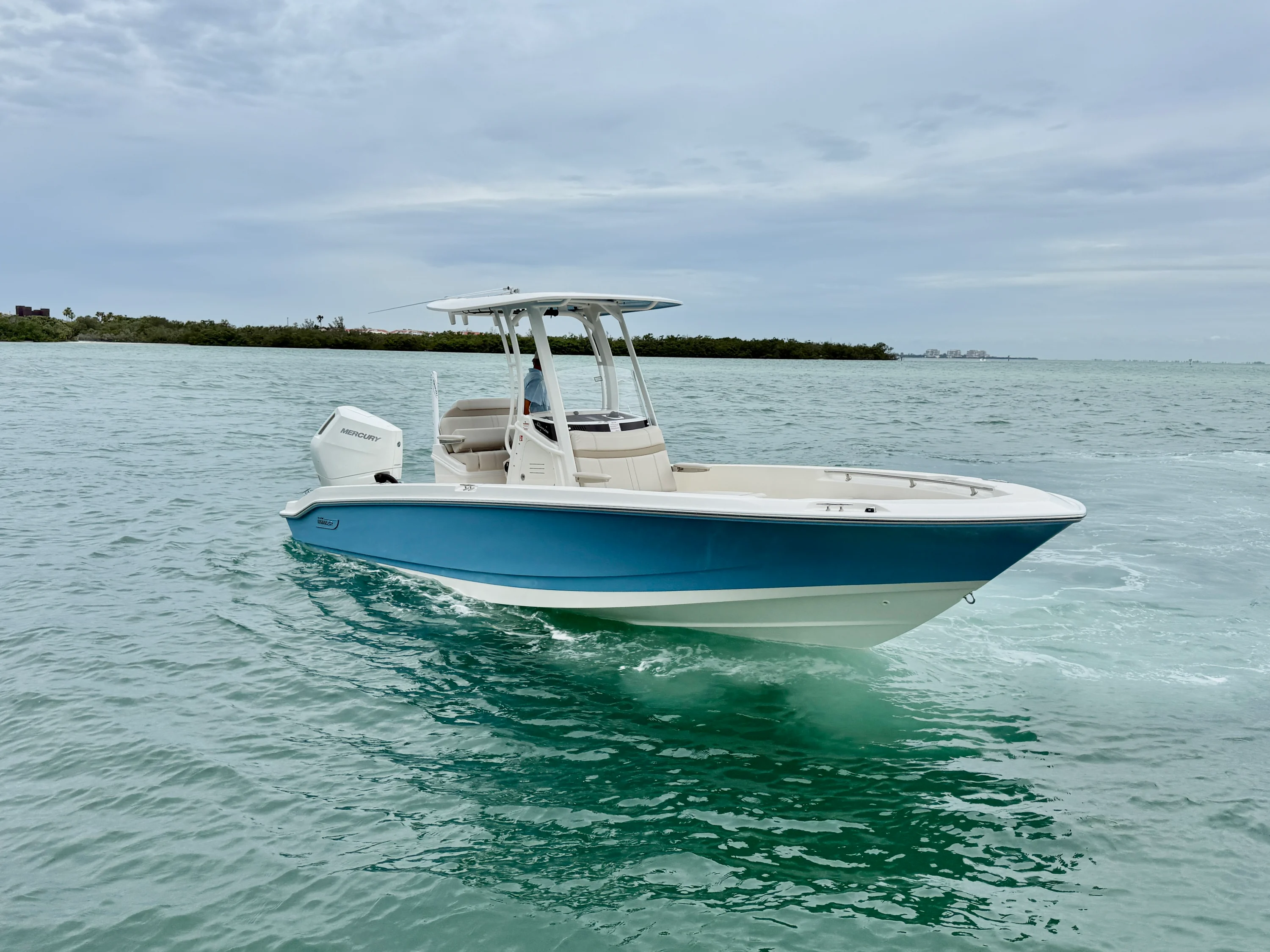 2026 Boston Whaler 250 Dauntless Image Thumbnail #2