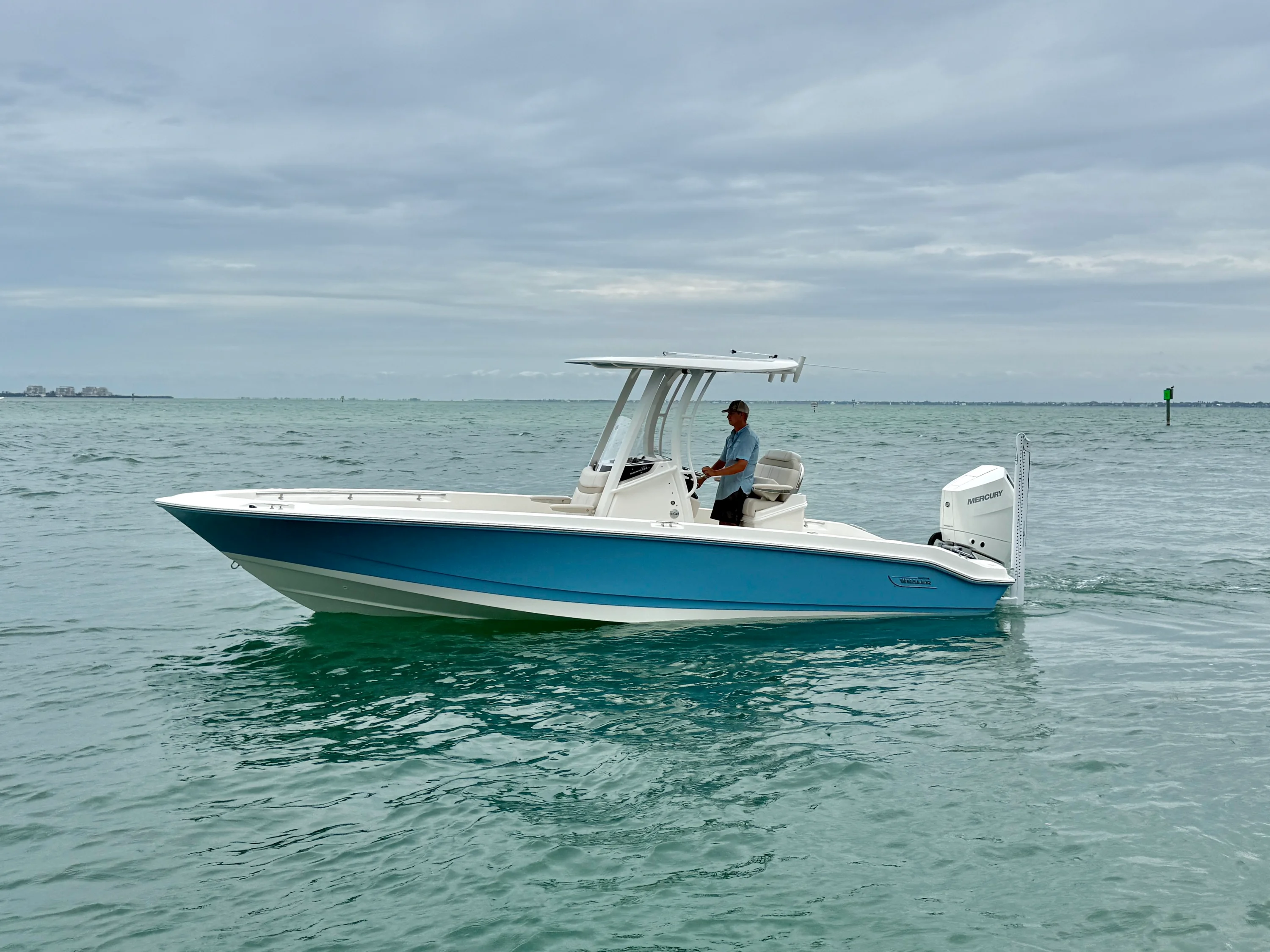2026 Boston Whaler 250 Dauntless Image Thumbnail #0