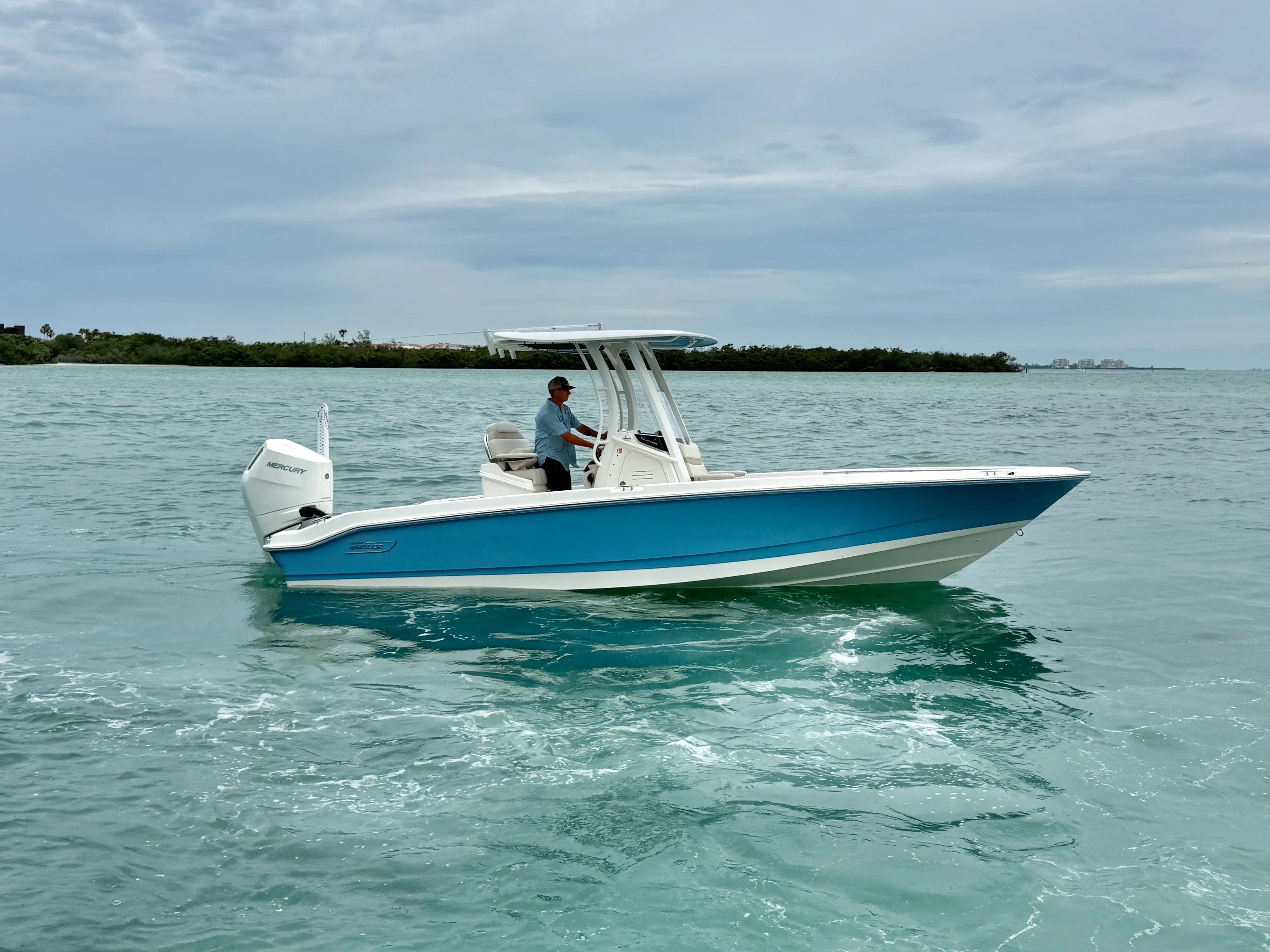 2026 Boston Whaler 250 Dauntless Image Thumbnail #3