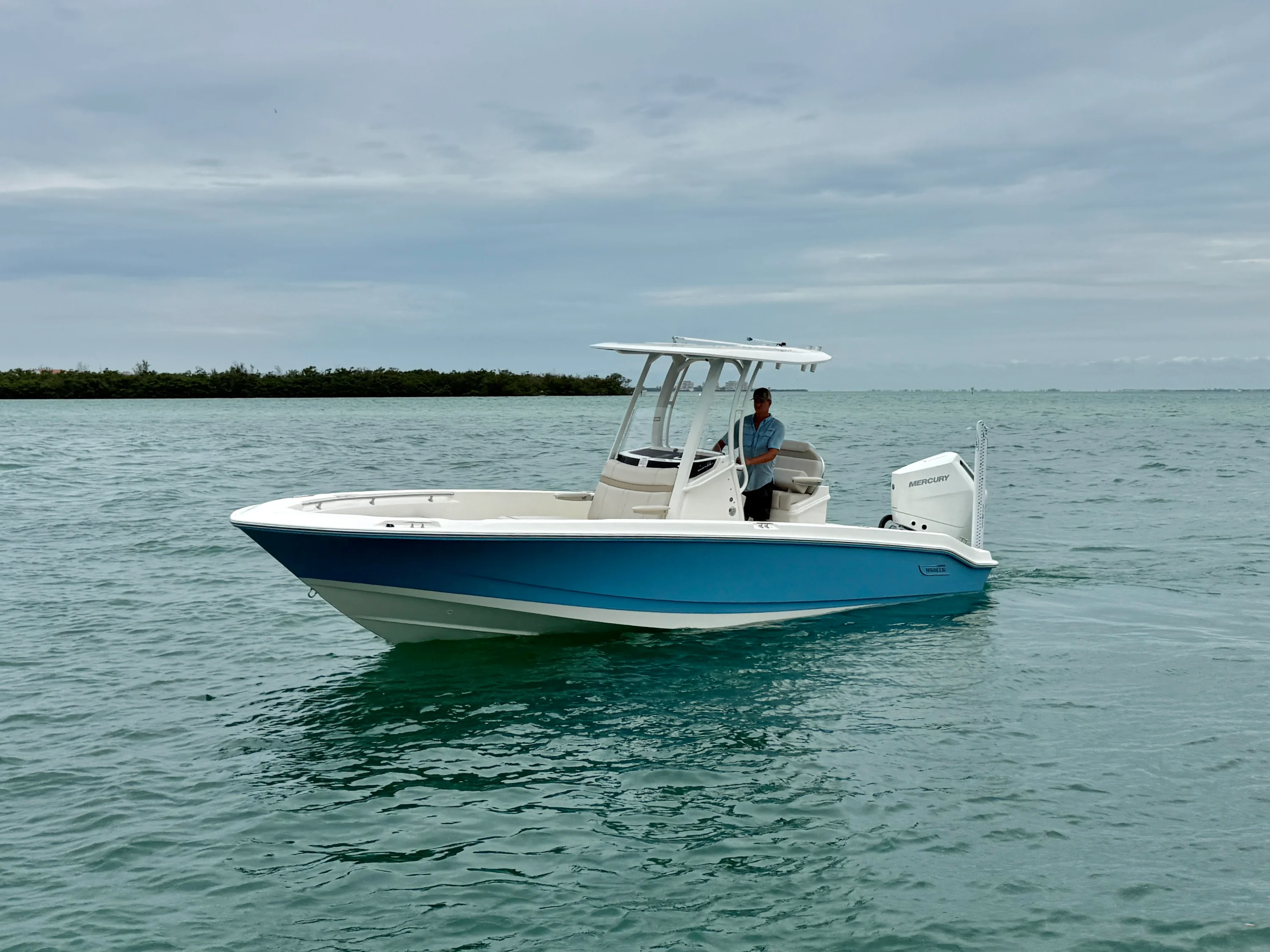 2026 Boston Whaler 250 Dauntless Image Thumbnail #1