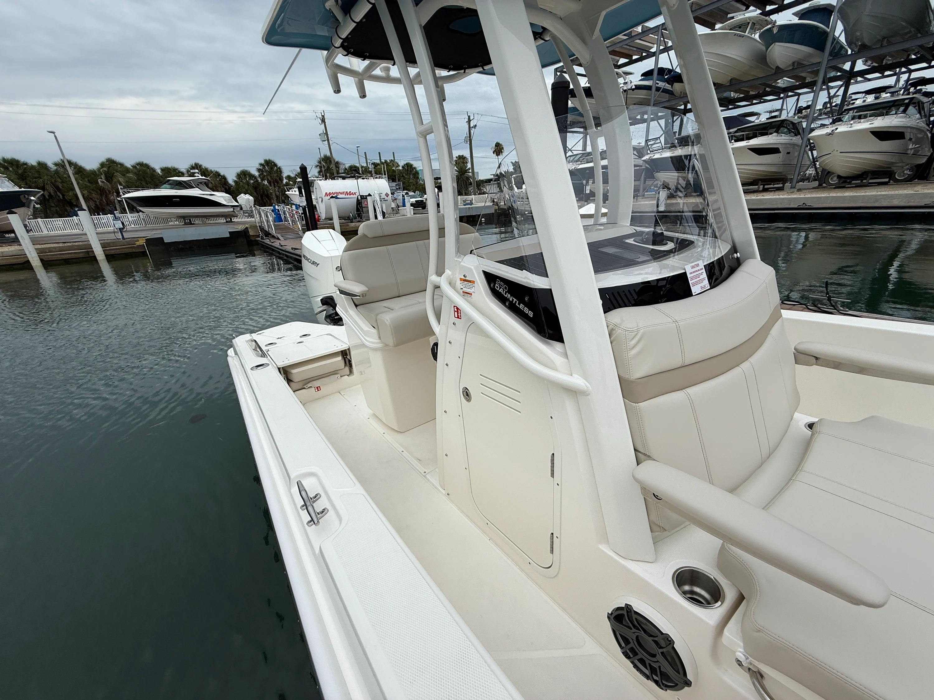 2026 Boston Whaler 250 Dauntless Image Thumbnail #9