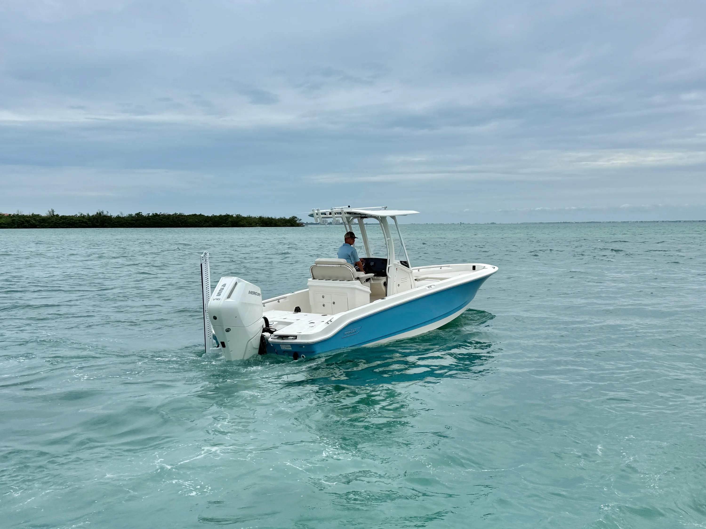 2026 Boston Whaler 250 Dauntless Image Thumbnail #4