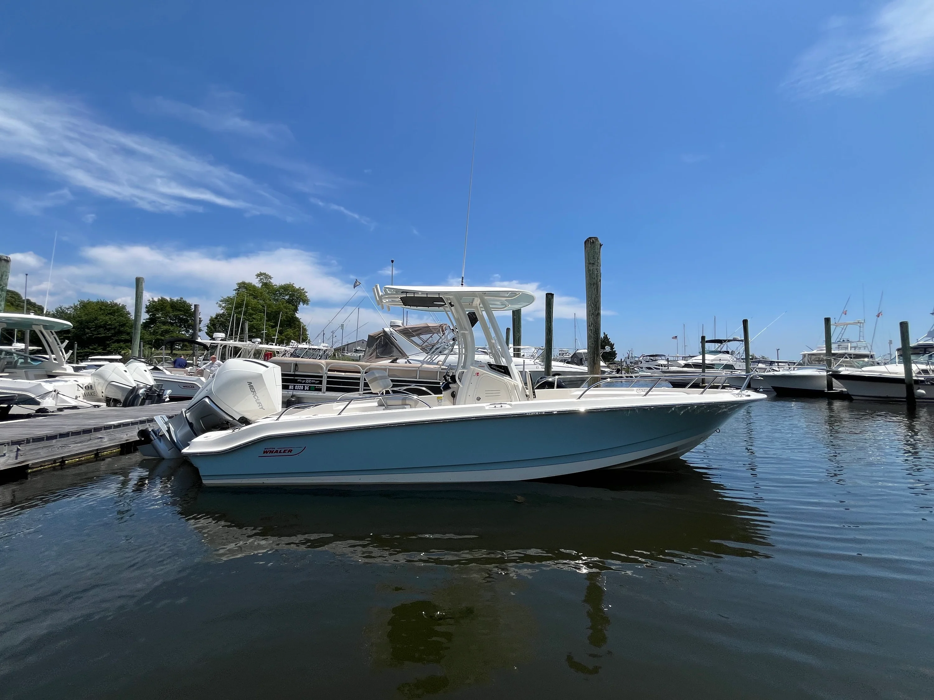 2026 Boston Whaler 250 Dauntless Image Thumbnail #0