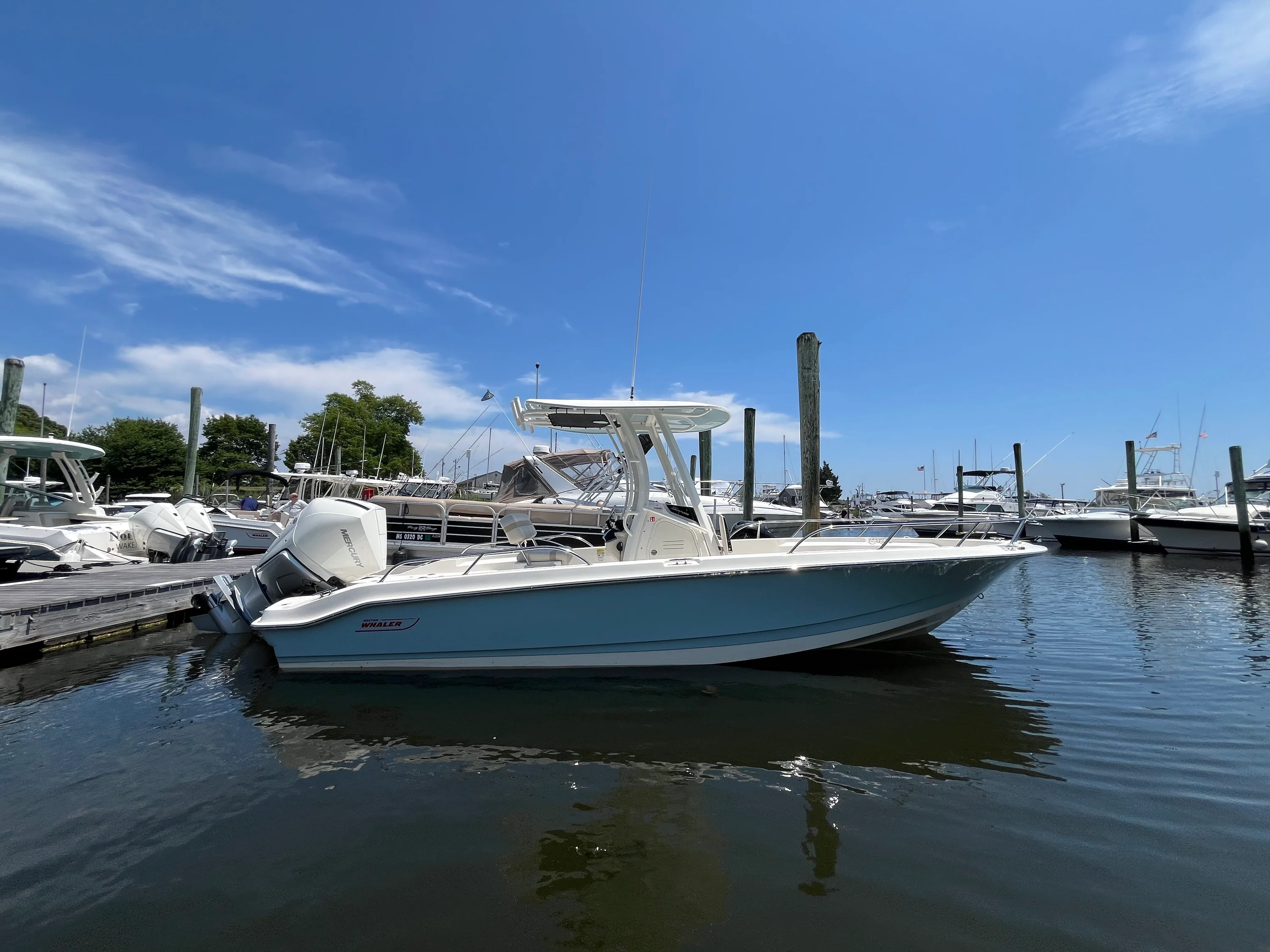 2026 Boston Whaler 250 Dauntless Image Thumbnail #32