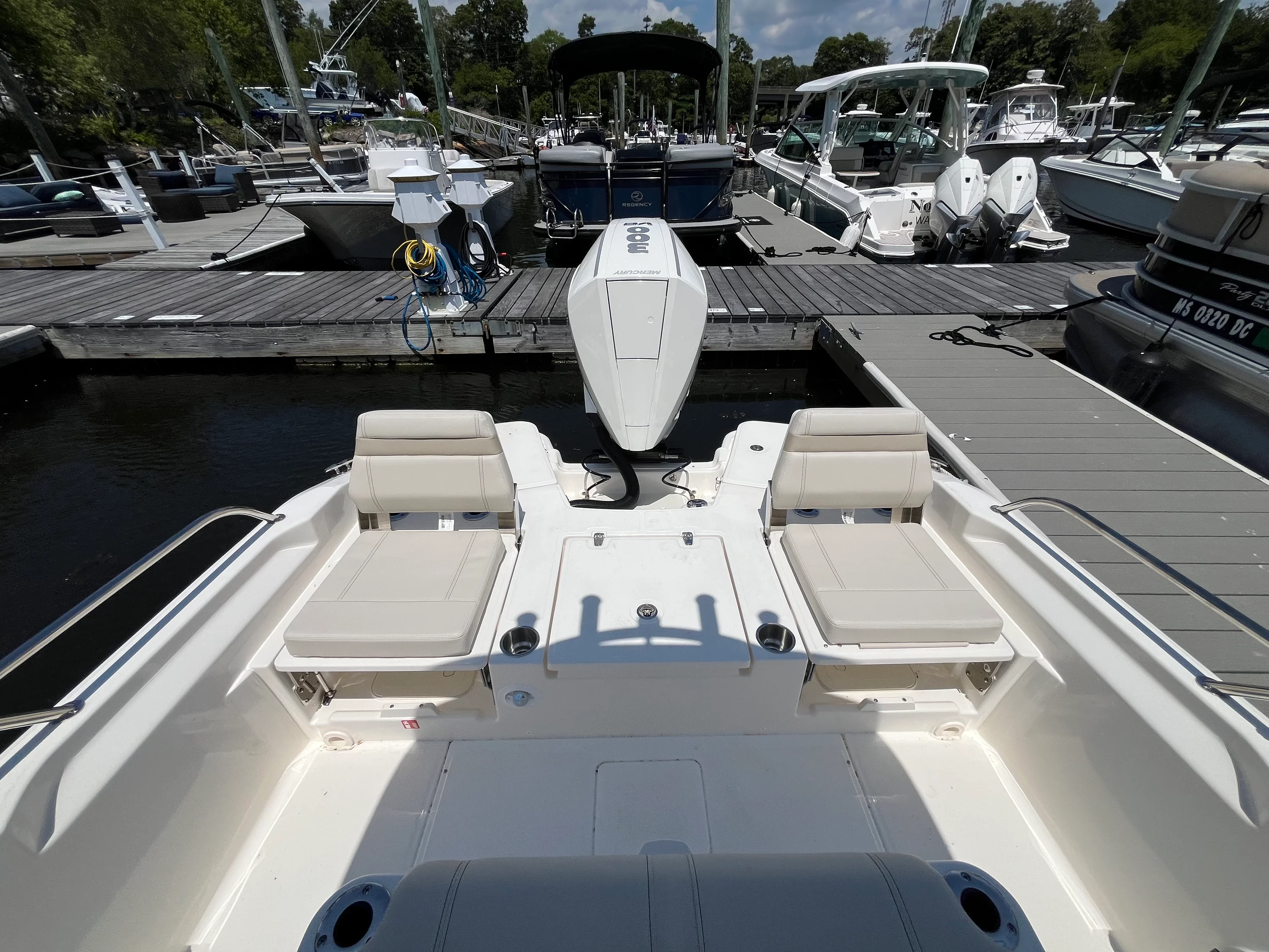 2026 Boston Whaler 250 Dauntless Image Thumbnail #4