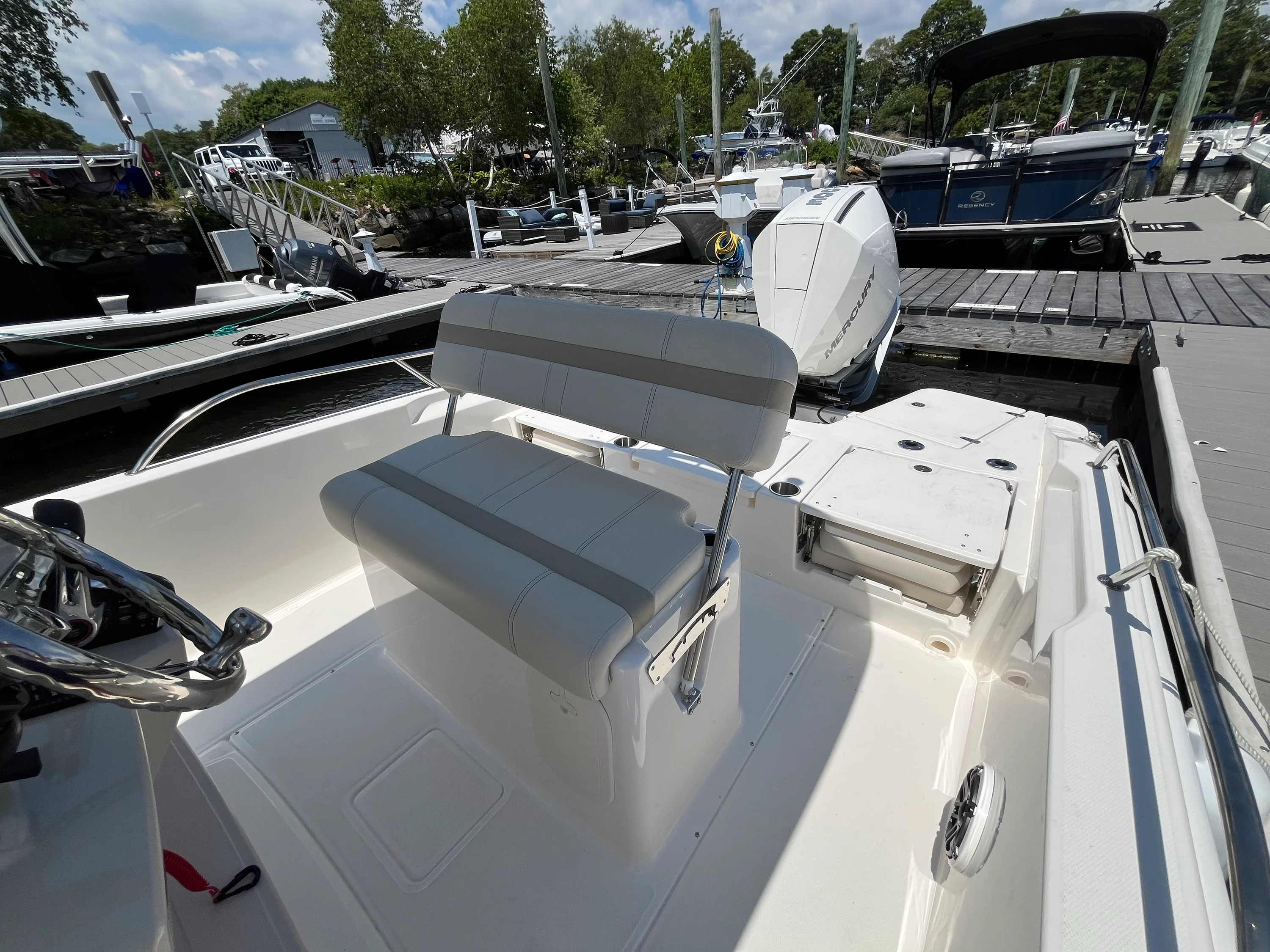 2026 Boston Whaler 250 Dauntless Image Thumbnail #9