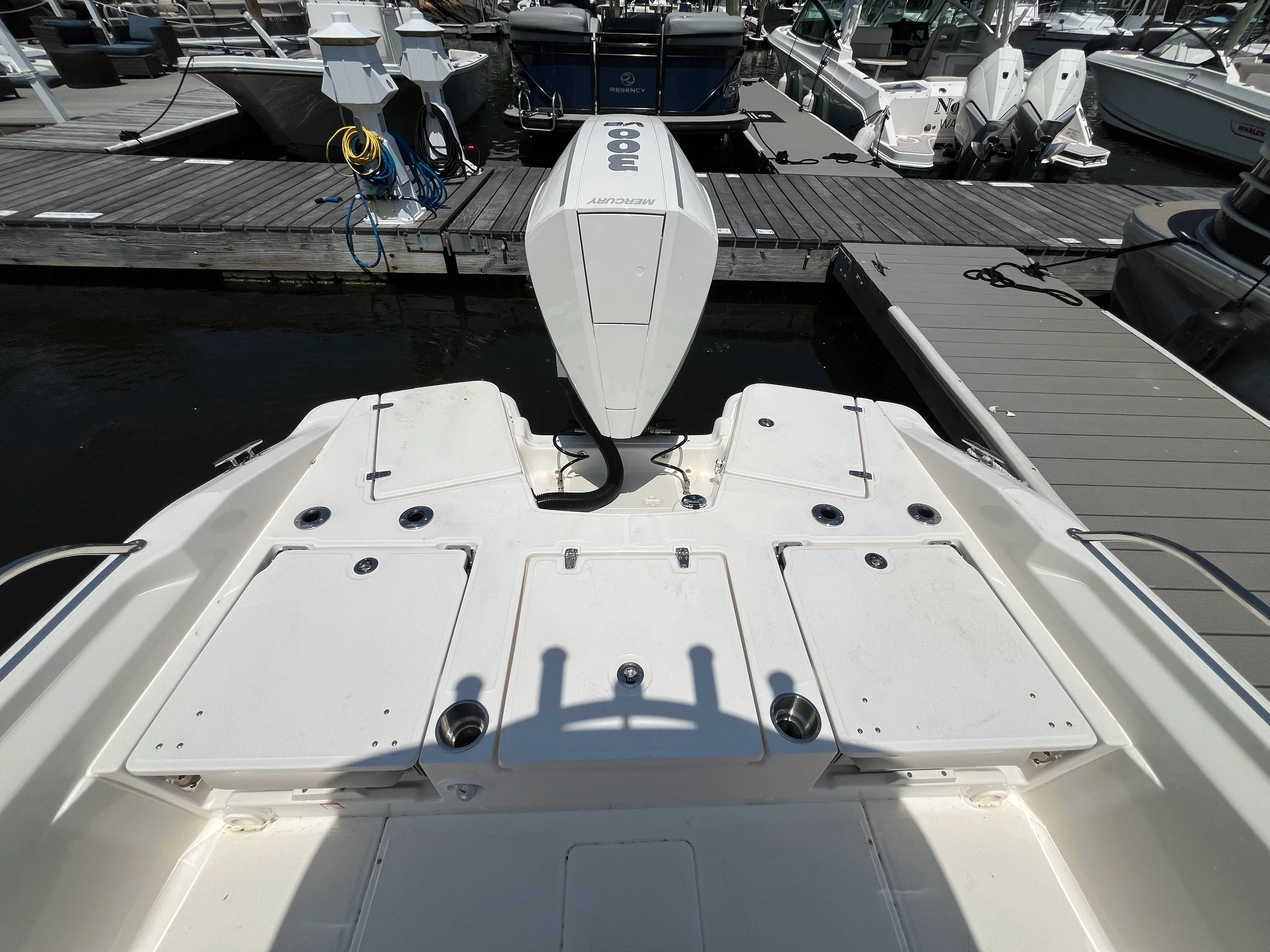2026 Boston Whaler 250 Dauntless Image Thumbnail #2