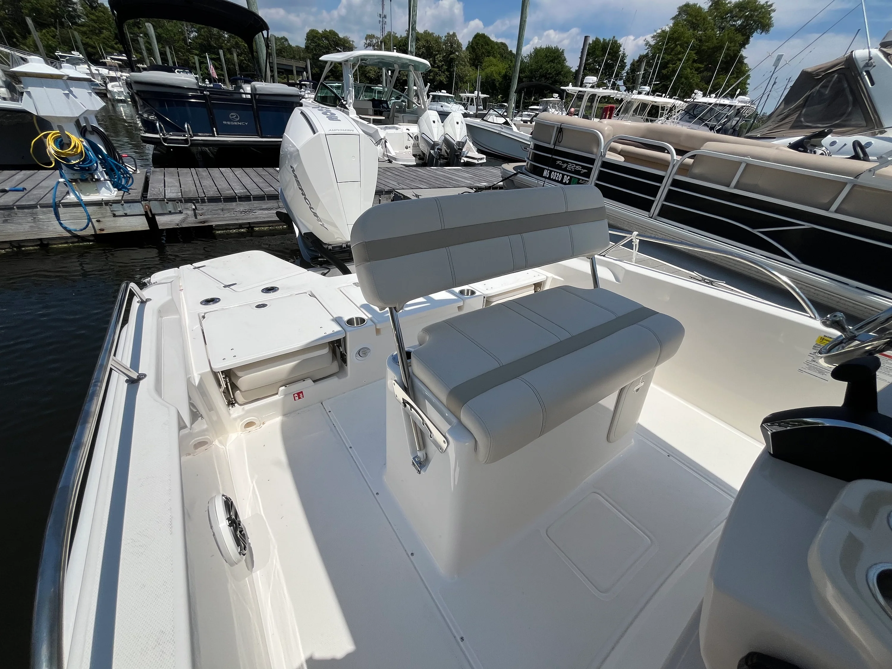 2026 Boston Whaler 250 Dauntless Image Thumbnail #10
