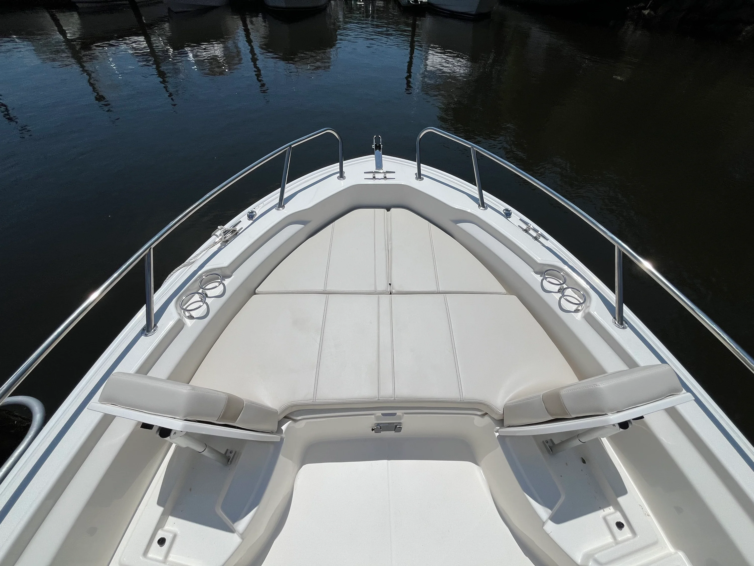 2026 Boston Whaler 250 Dauntless Image Thumbnail #24