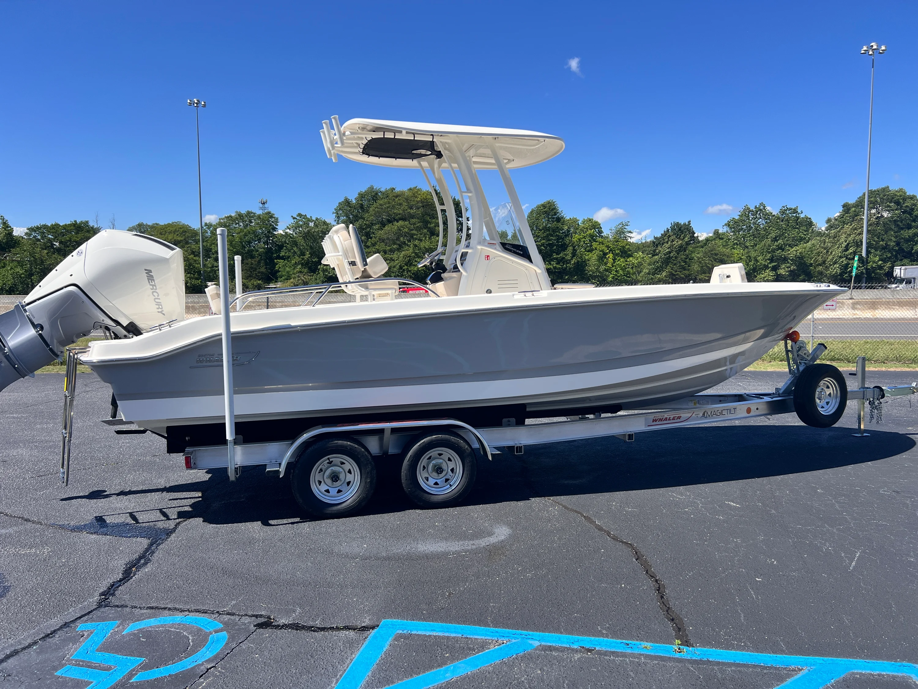 2026 Boston Whaler 250 Dauntless Image Thumbnail #18