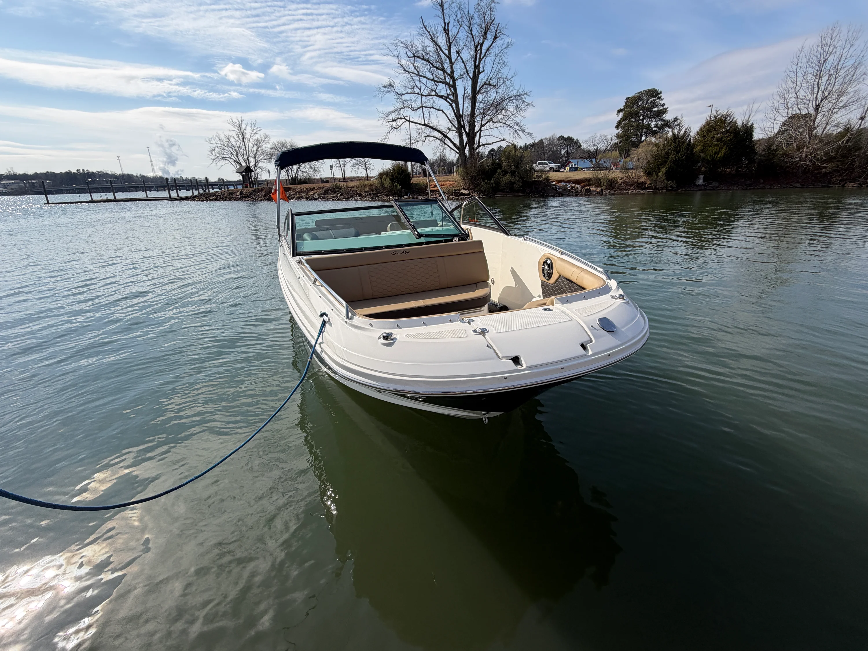 2019 Sea Ray 250 SDX Image Thumbnail #3