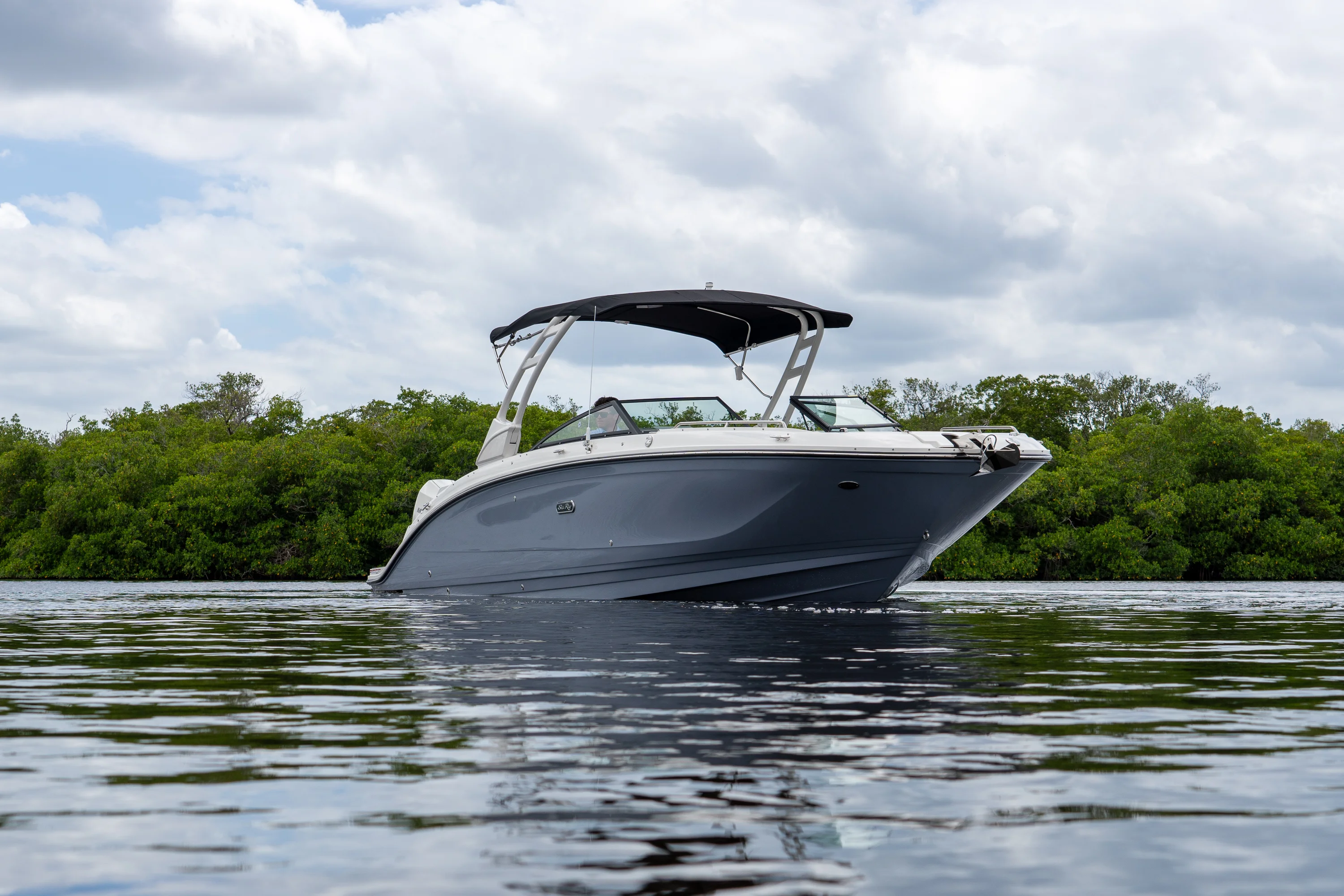 2026 Sea Ray SDX 290 Outboard Image Thumbnail #26