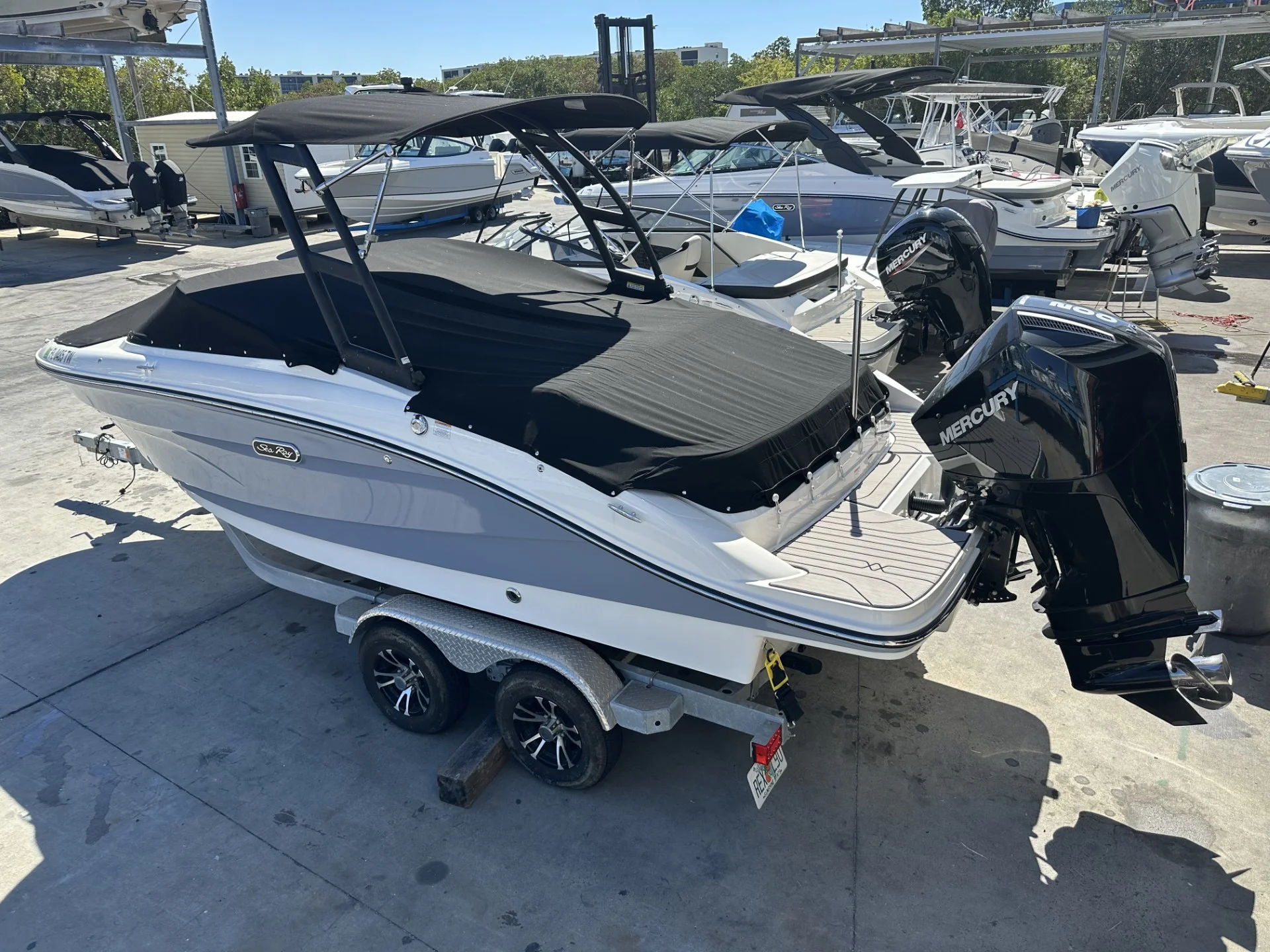 2024 Sea Ray 210 SPX Outboard Image Thumbnail #1