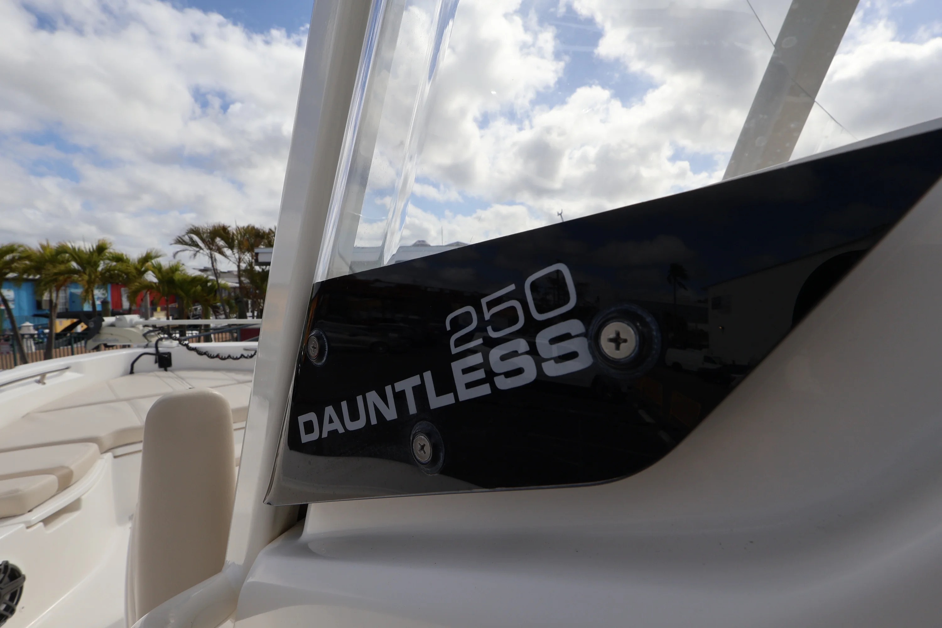 2023 Boston Whaler 250 Dauntless Image Thumbnail #19