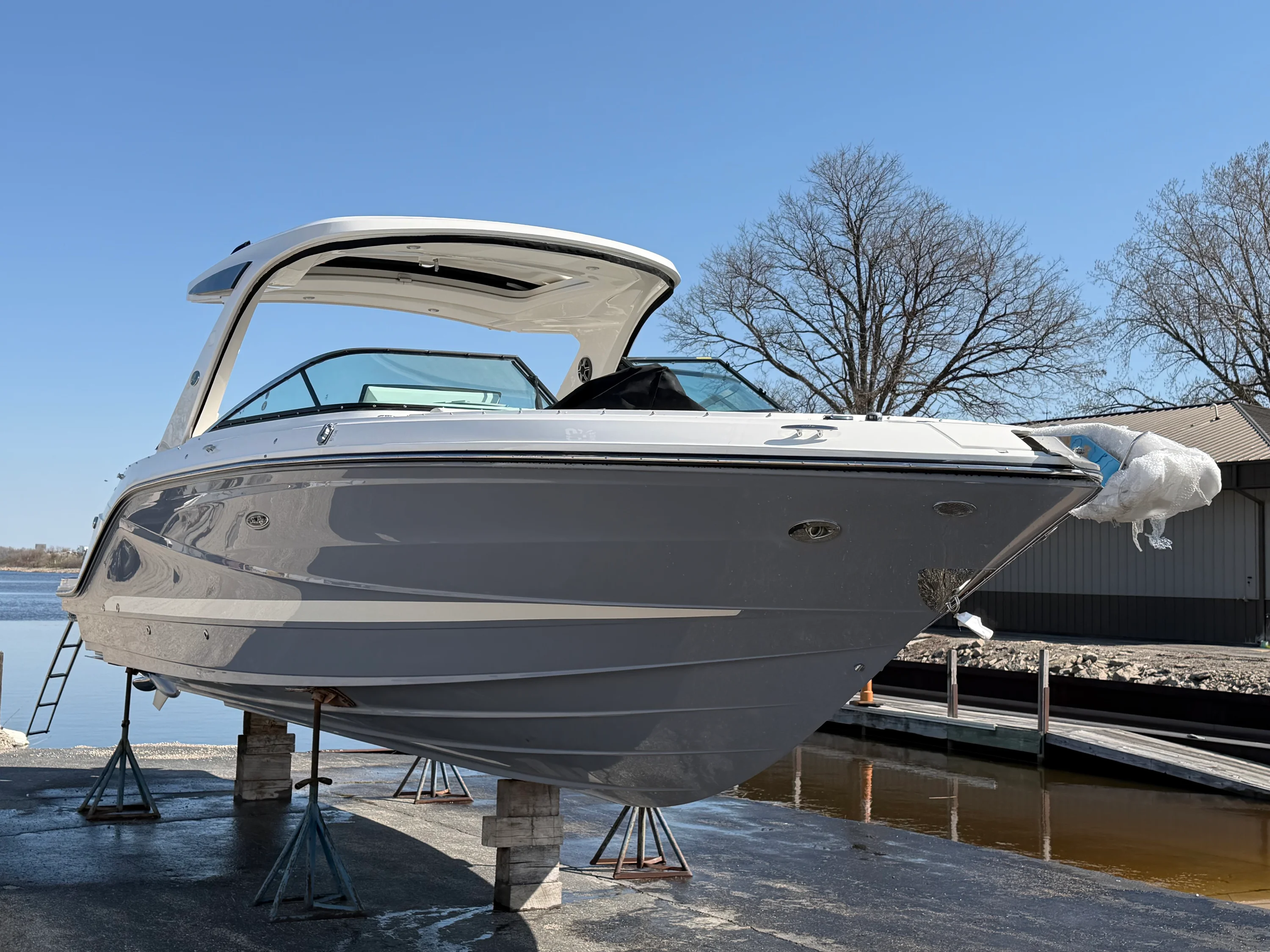 2026 Sea Ray SLX 310 Outboard Image Thumbnail #0