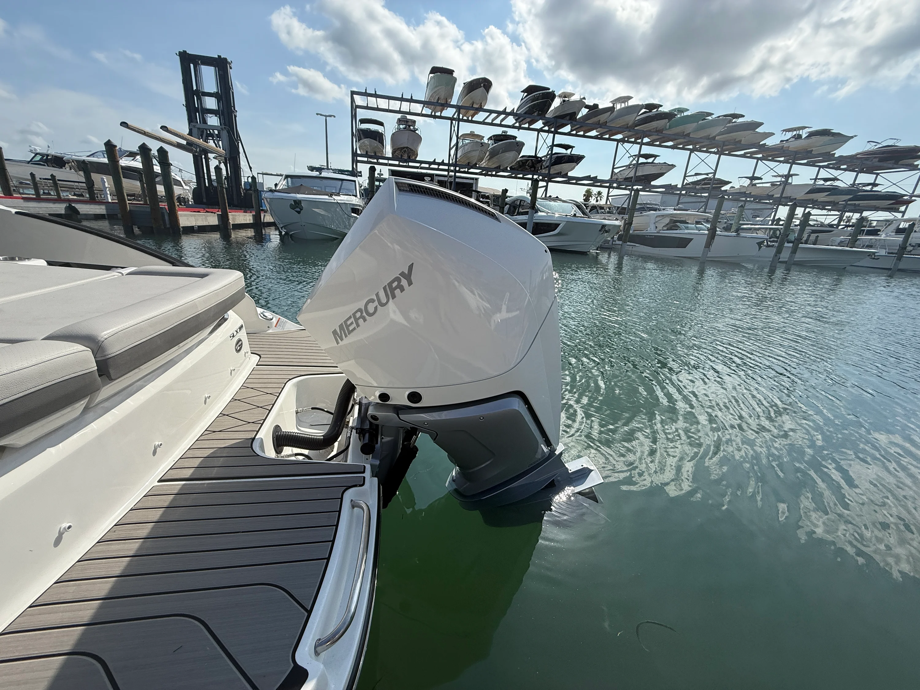 2026 Sea Ray SLX 260 Outboard Image Thumbnail #23