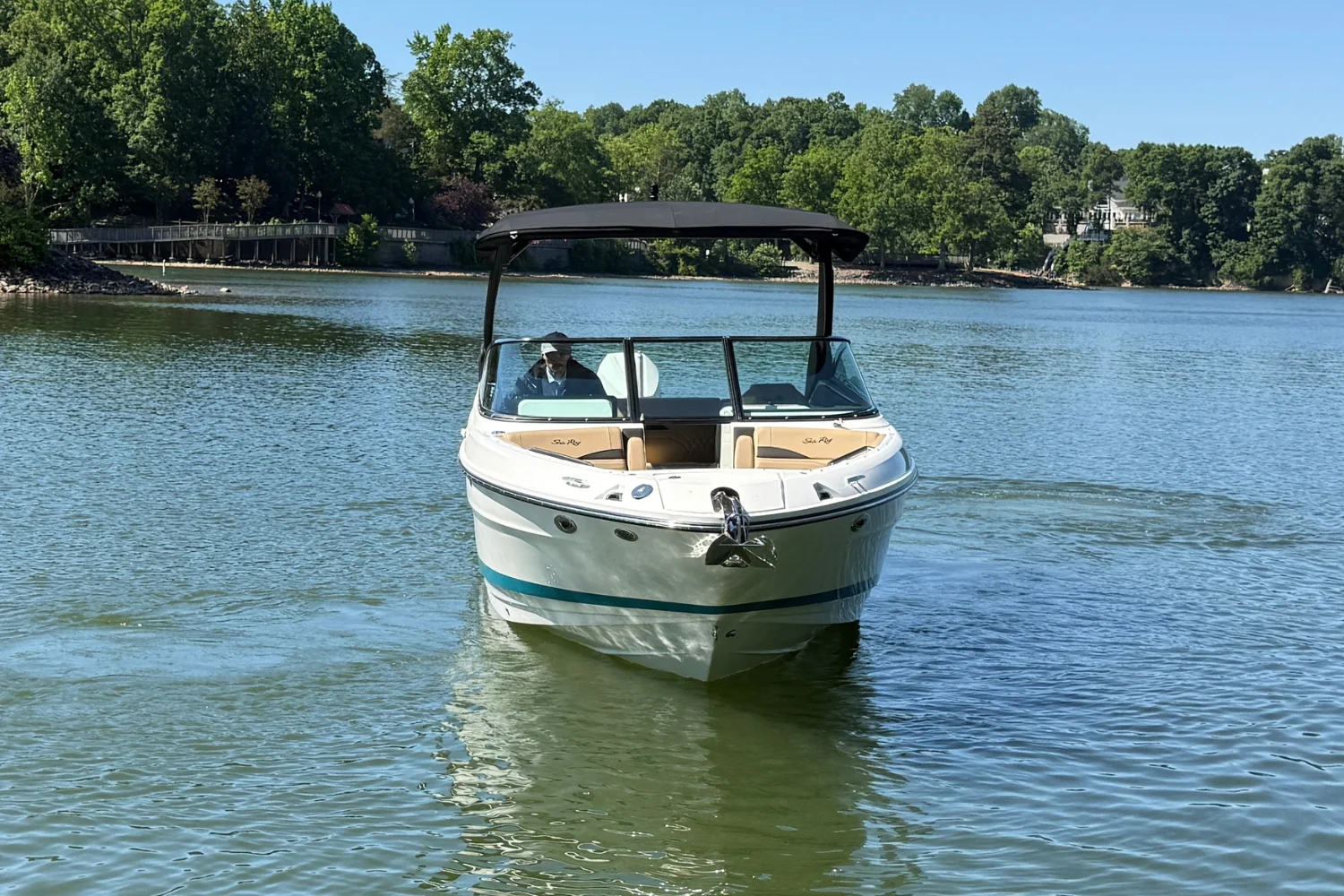 2026 Sea Ray SLX 260 Outboard Image Thumbnail #6