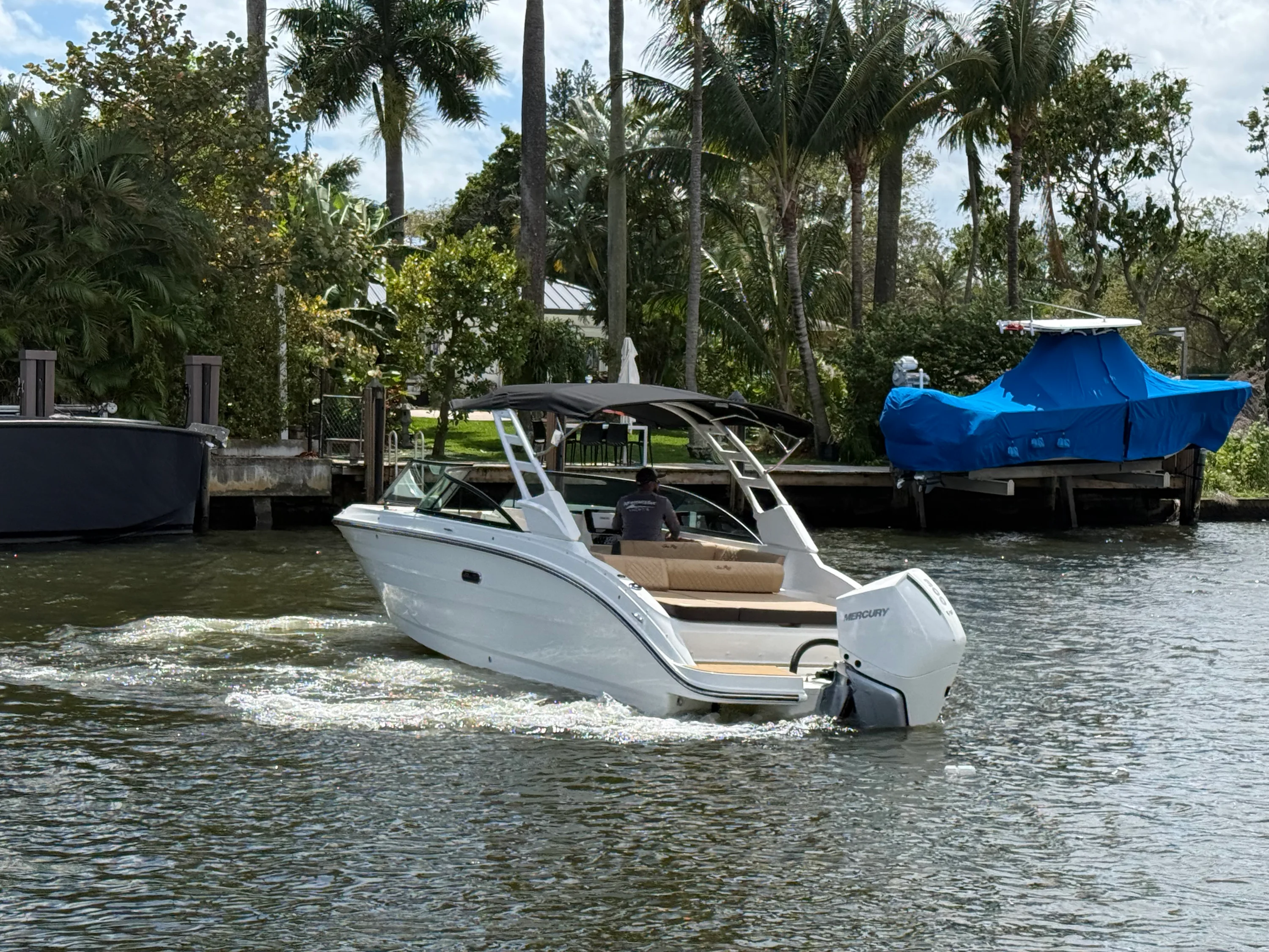 2026 Sea Ray SDX 250 Outboard Image Thumbnail #8