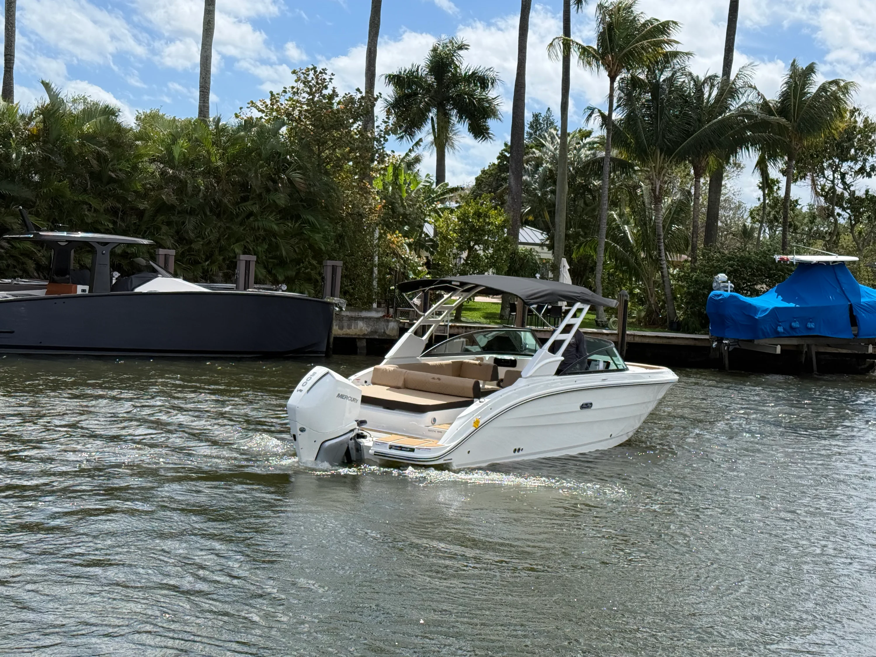 2026 Sea Ray SDX 250 Outboard Image Thumbnail #4